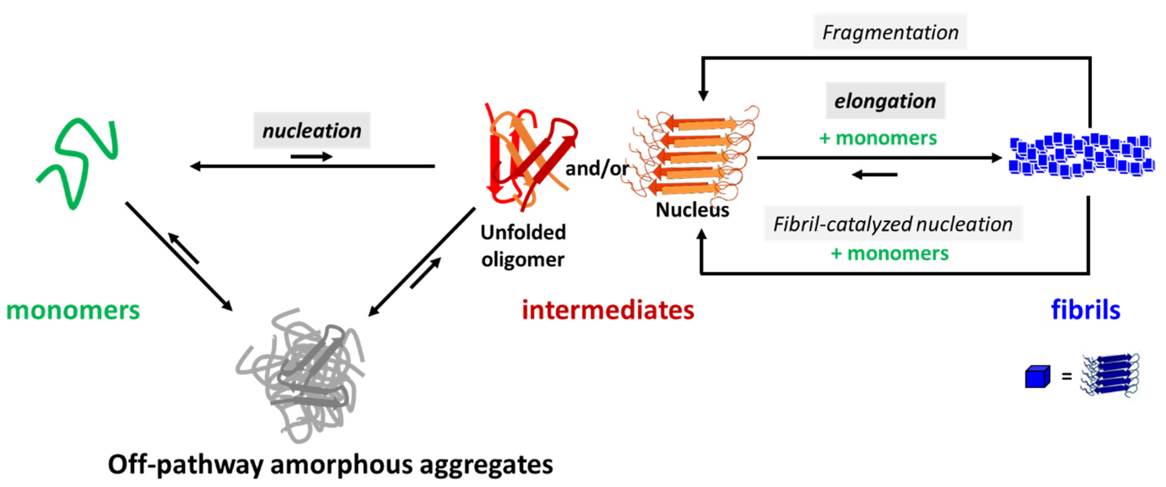 Antioxidants 12 00472 sch001