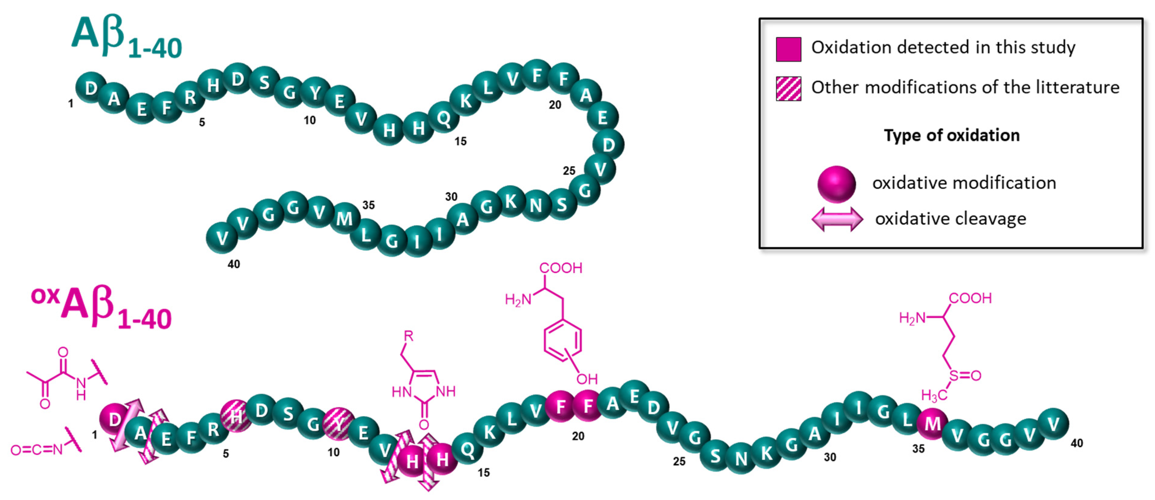 Antioxidants 12 00472 sch002