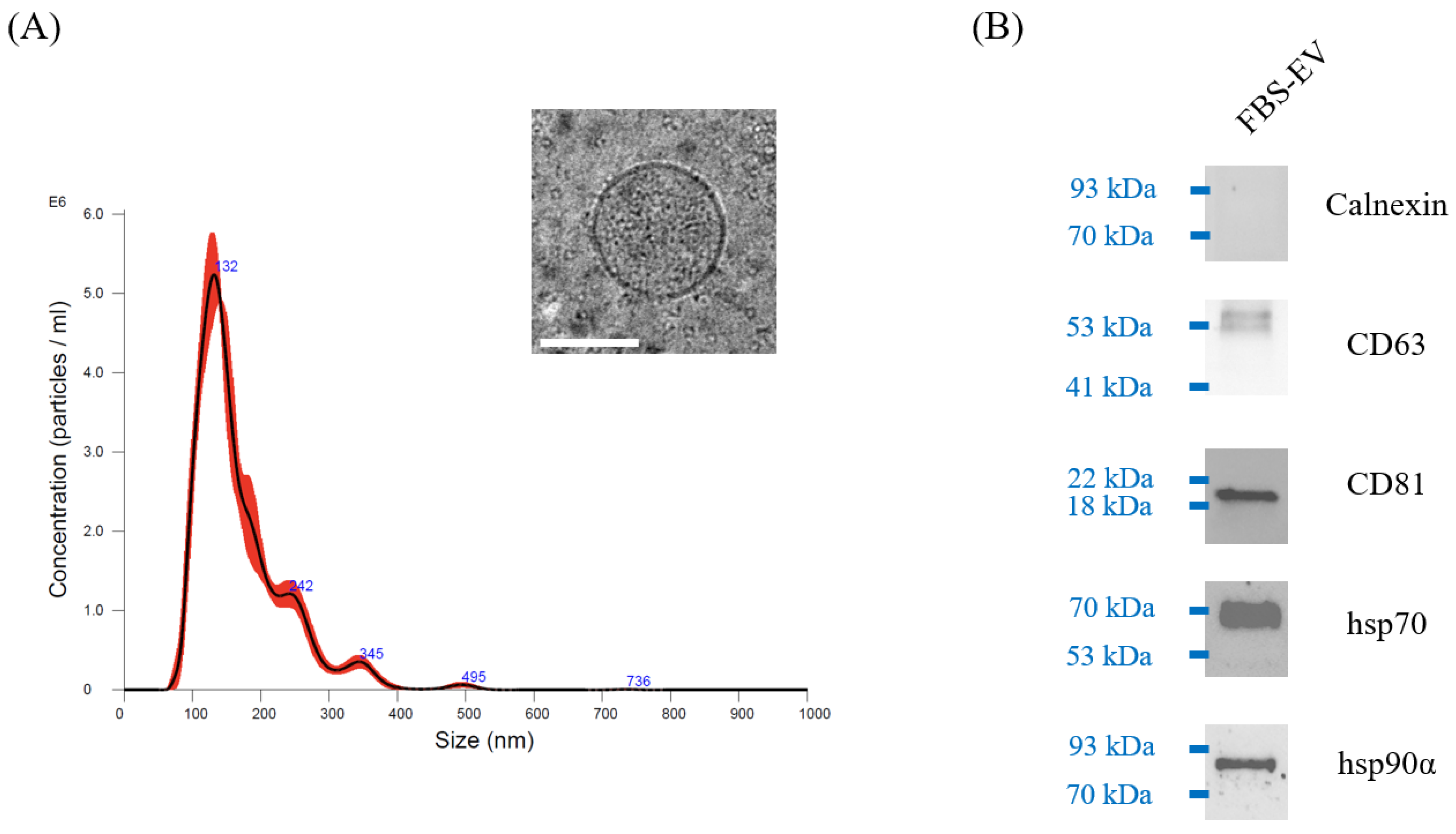Antioxidants 12 00473 g001