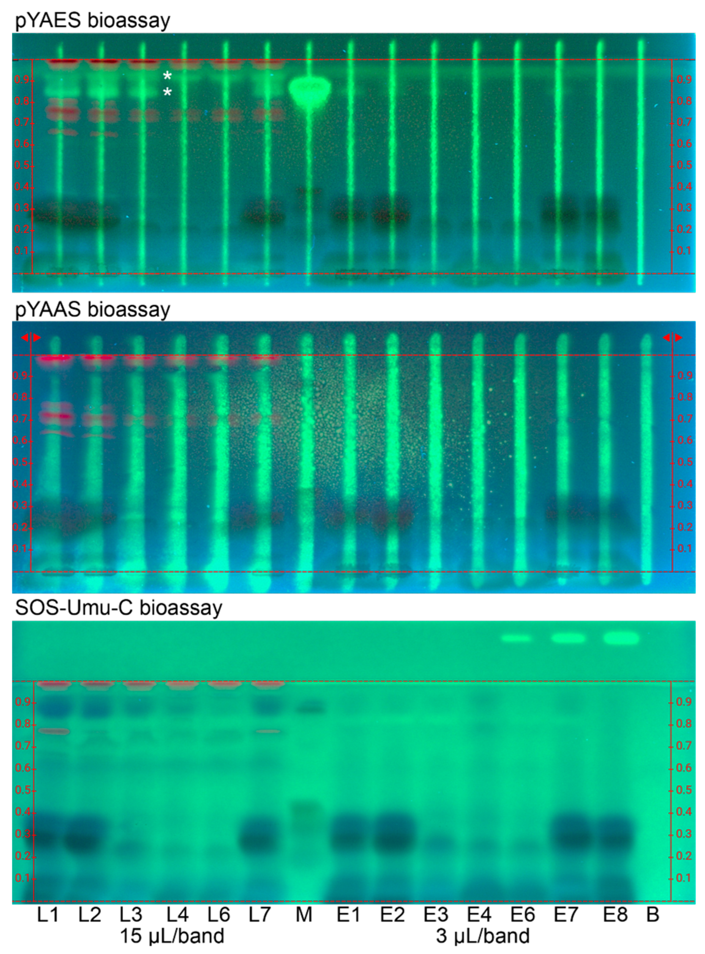 Antioxidants 12 00476 g002