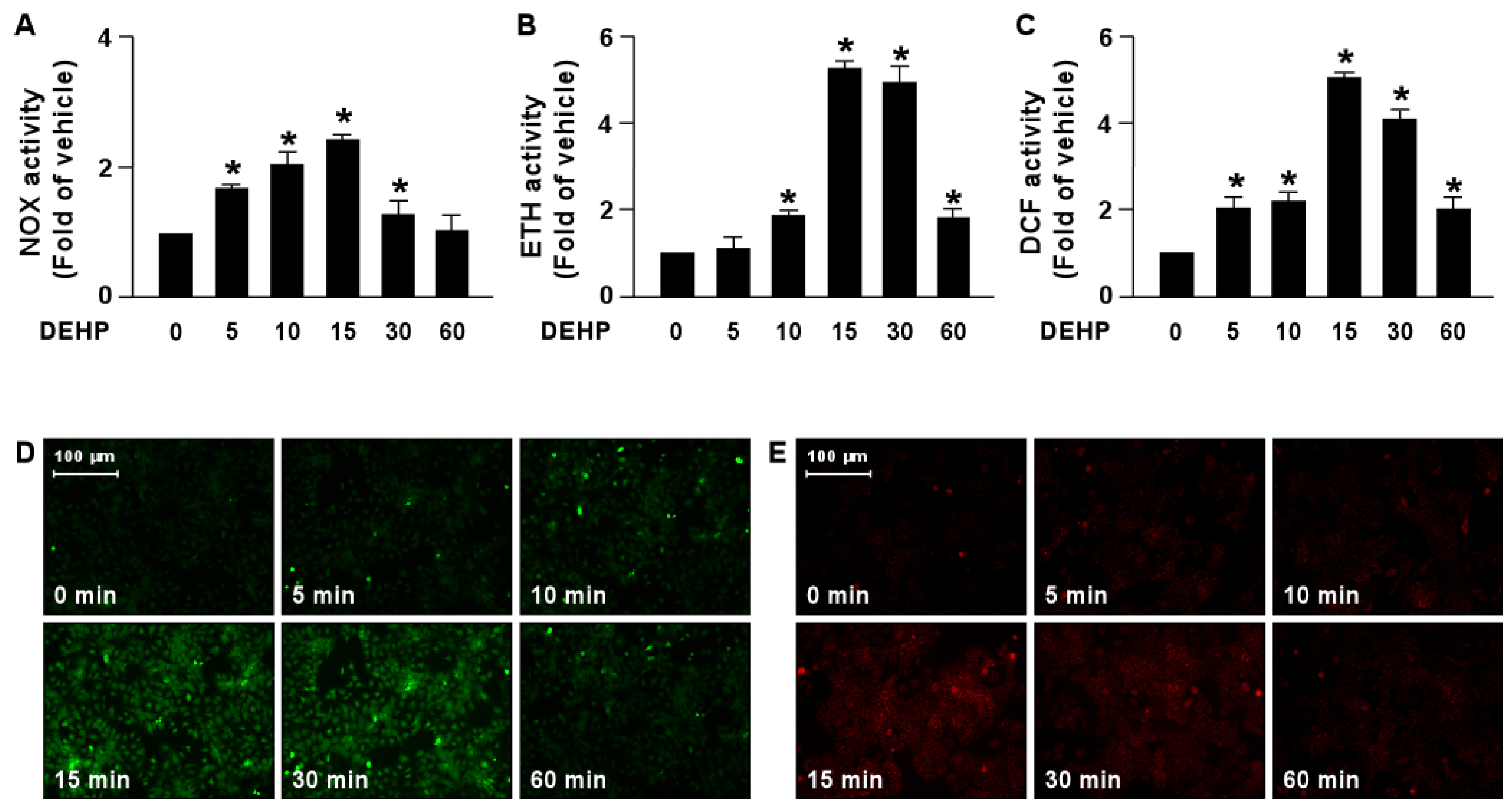 Antioxidants 12 00477 g005