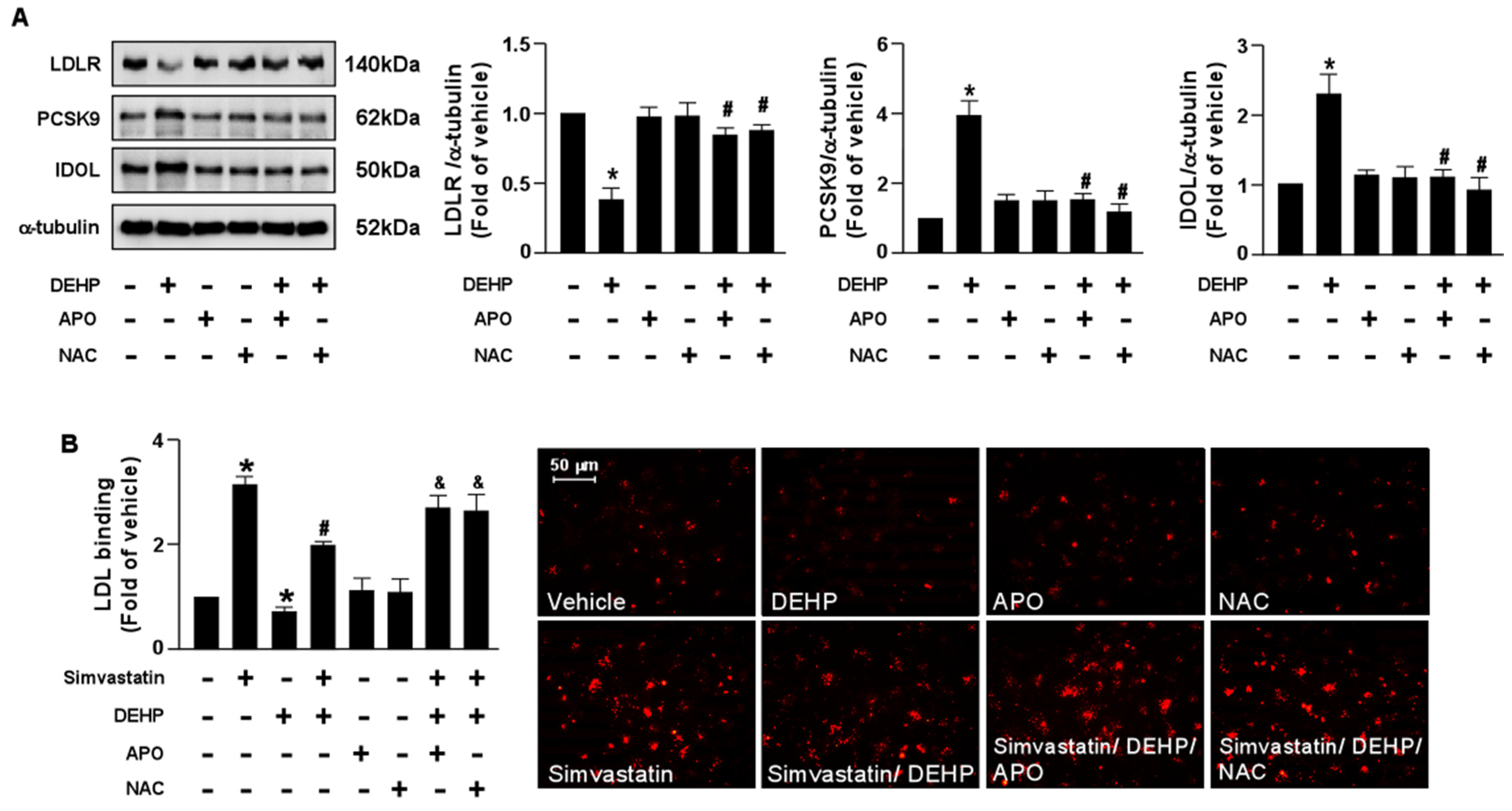 Antioxidants 12 00477 g006