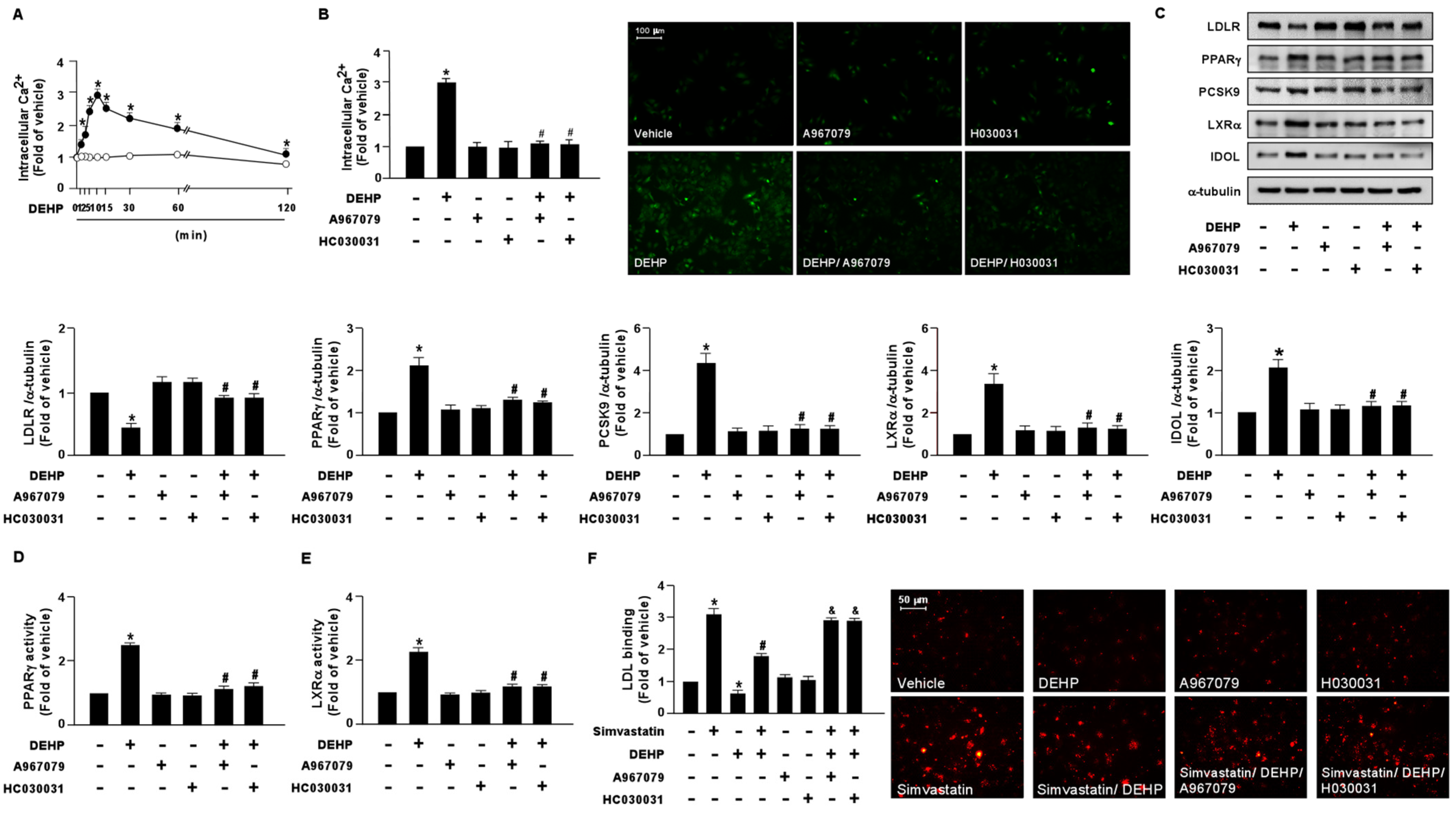 Antioxidants 12 00477 g007