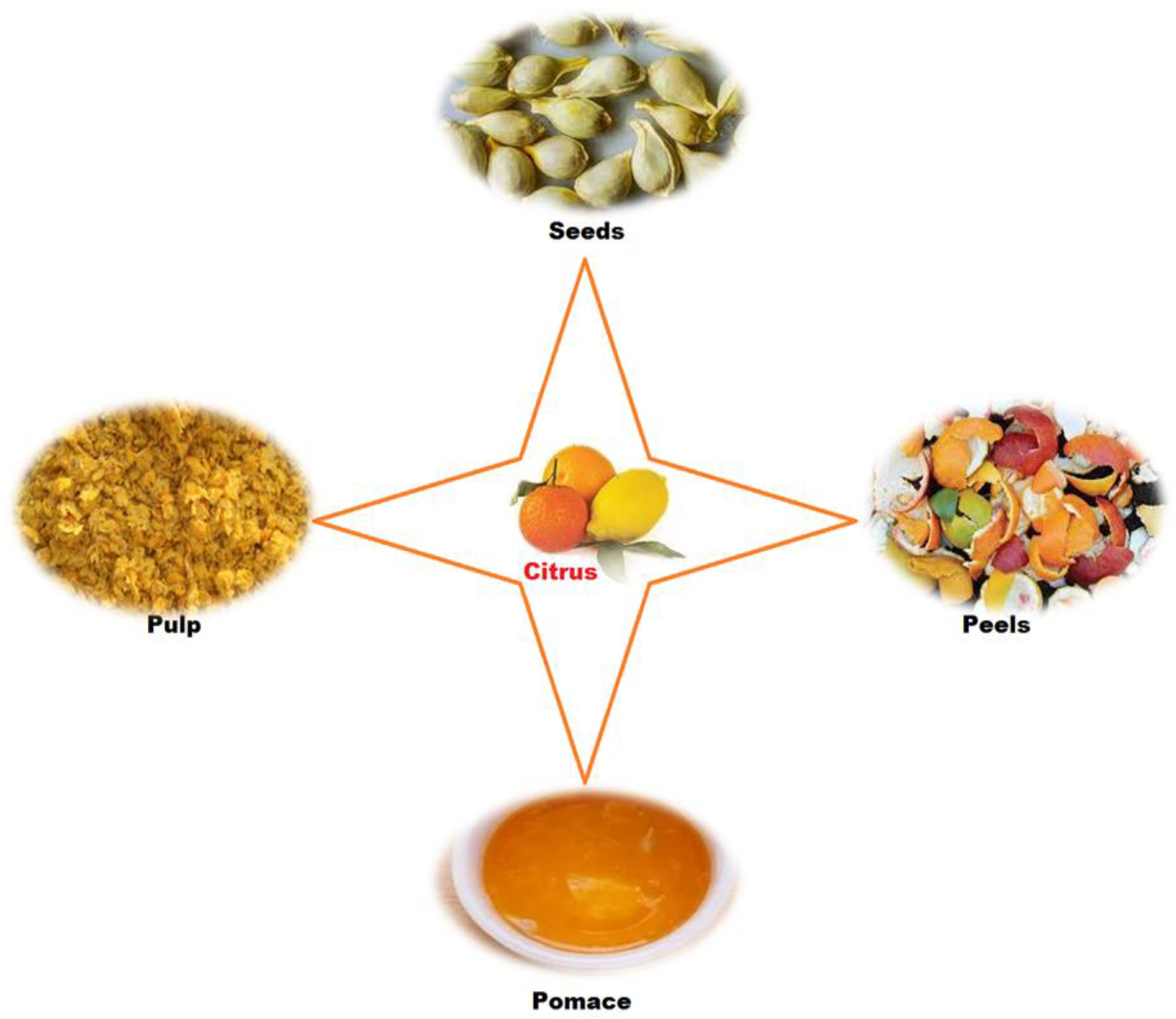 Antioxidants 12 00481 g001