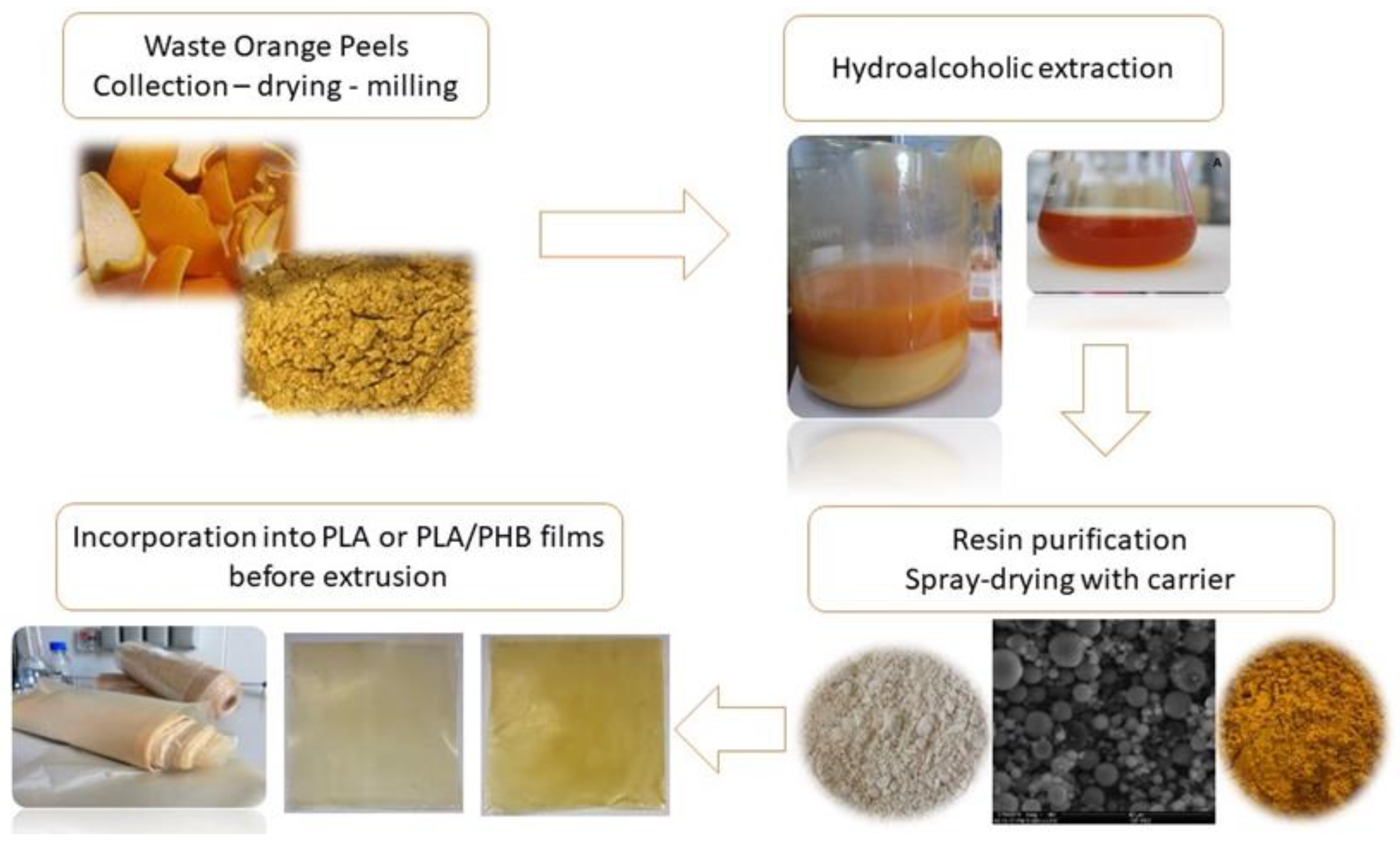 Antioxidants 12 00481 g003