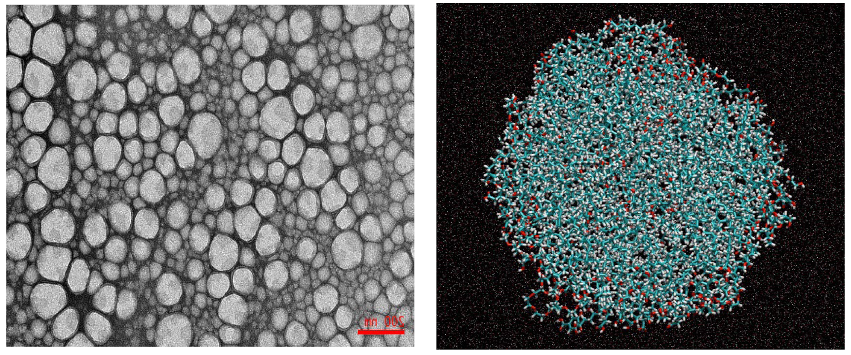 Antioxidants 12 00484 g001