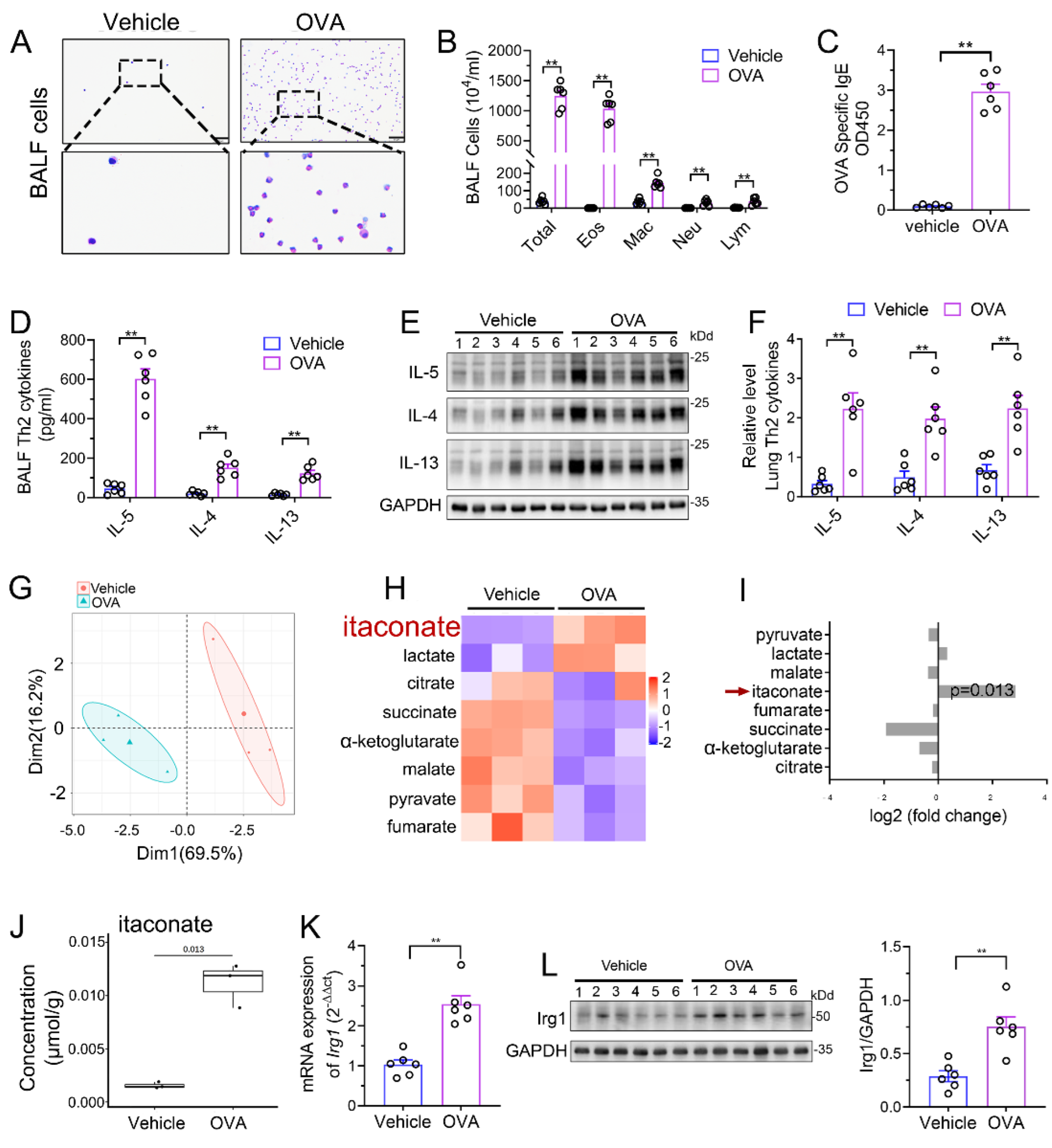 Antioxidants 12 00489 g001