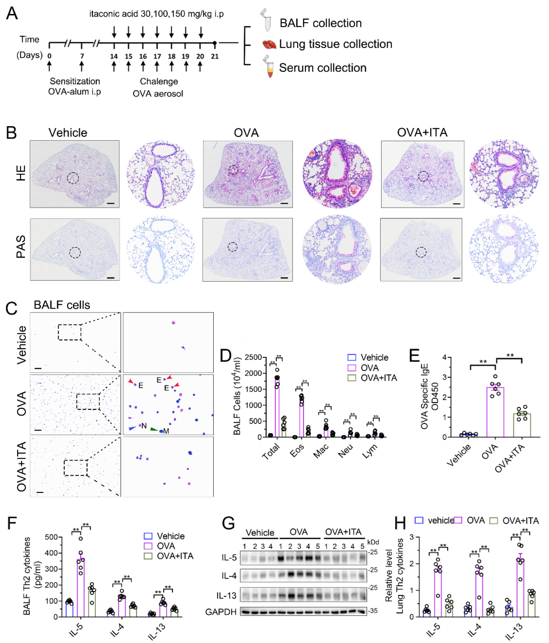 Antioxidants 12 00489 g002