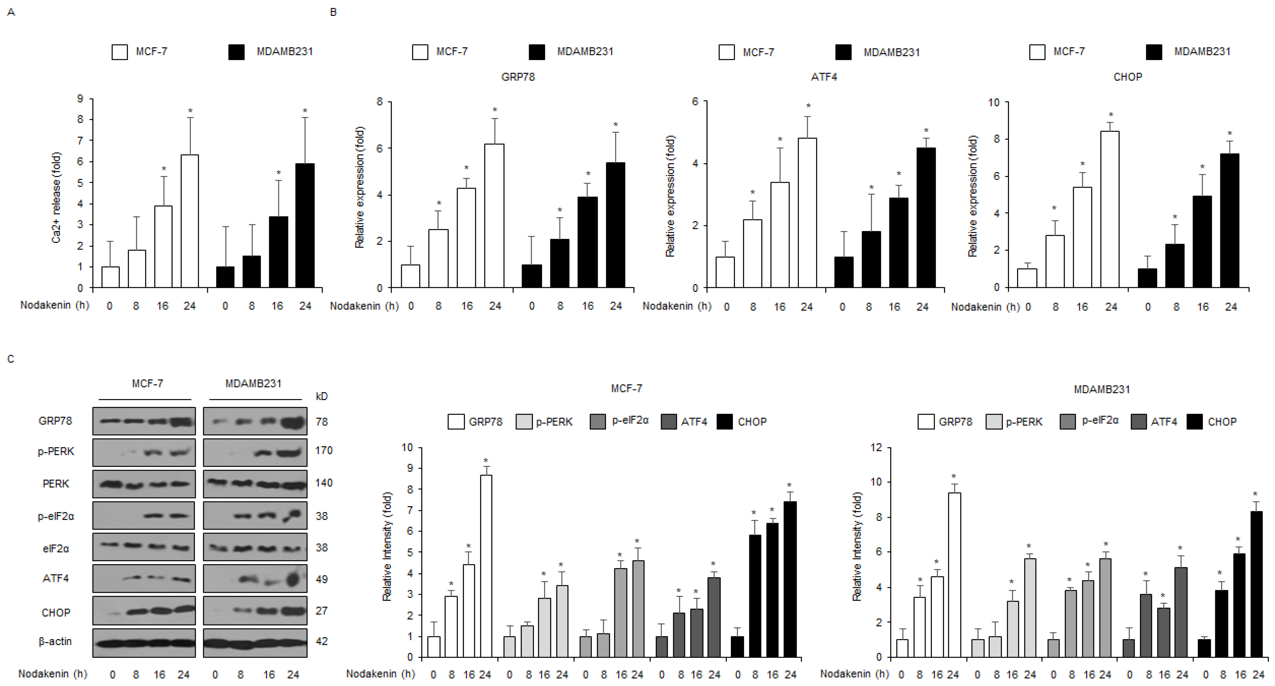 Antioxidants 12 00492 g003