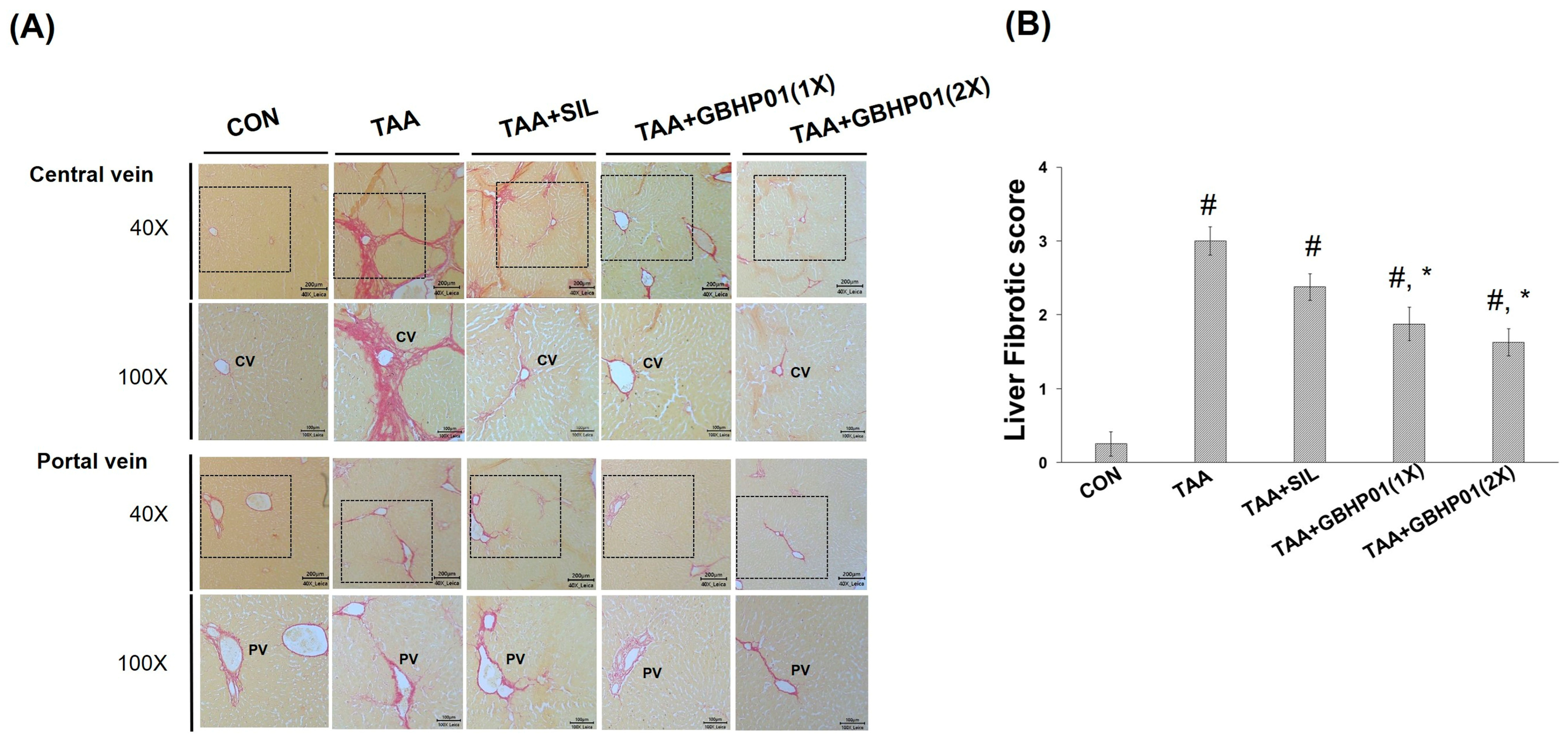 Antioxidants 12 00493 g002