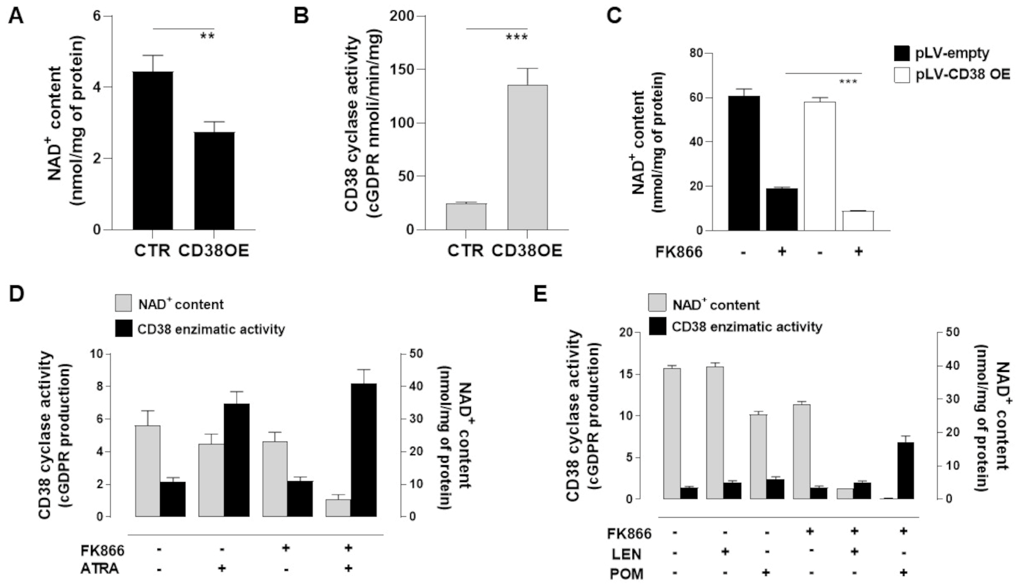 Antioxidants 12 00494 g004 Antioxidants 12 00494 g004