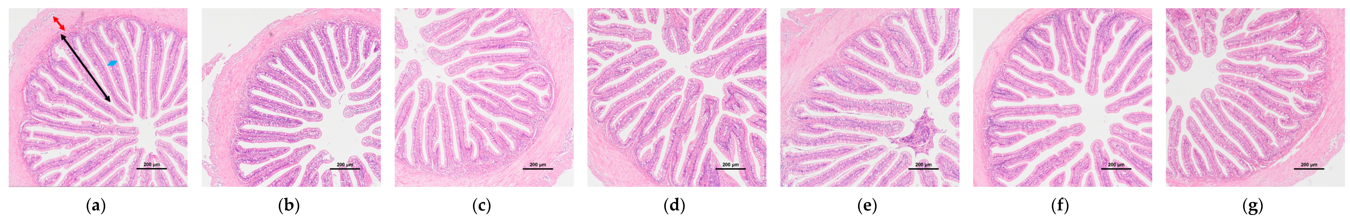 Antioxidants 12 00502 g003