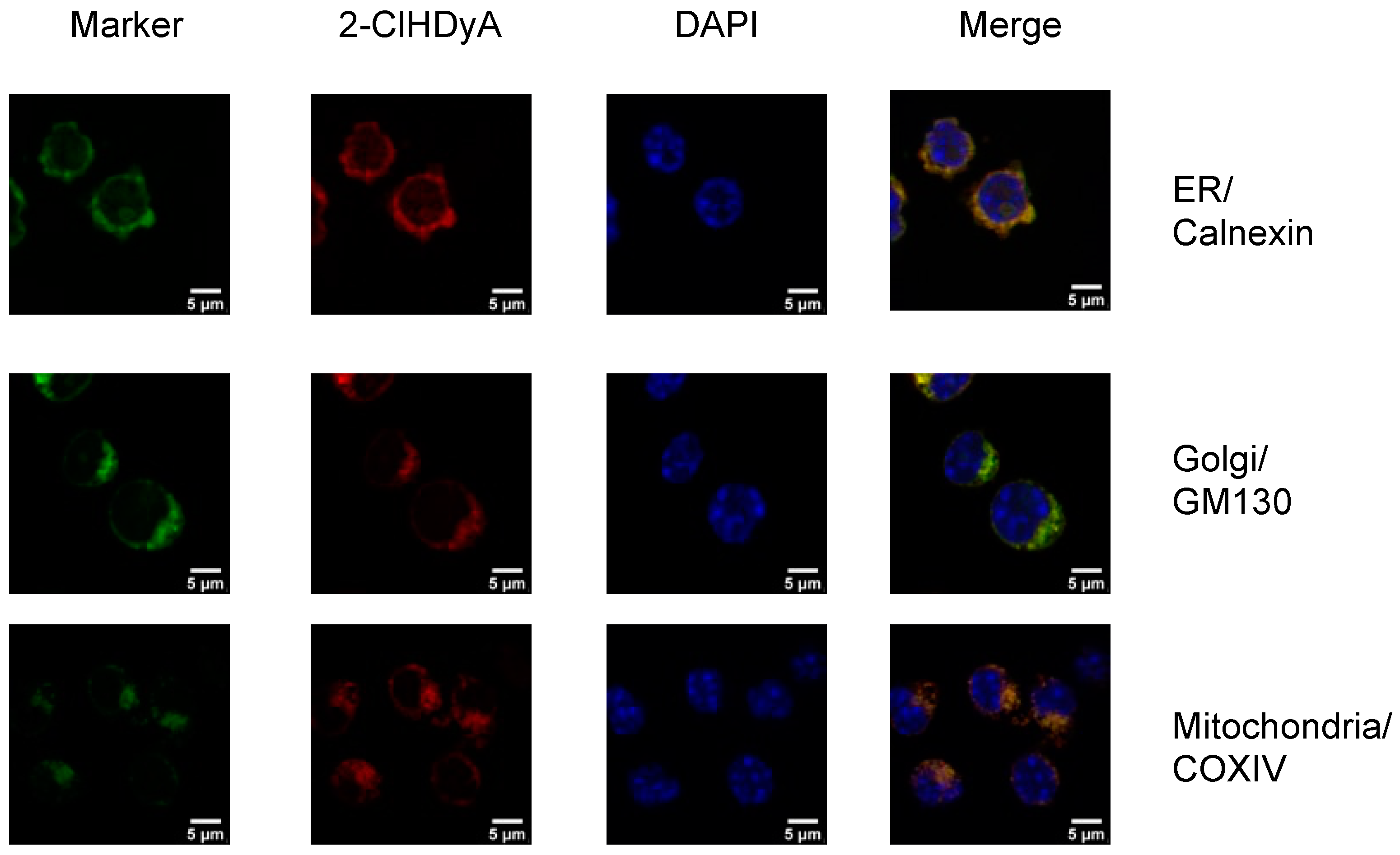 Antioxidants 12 00504 g002