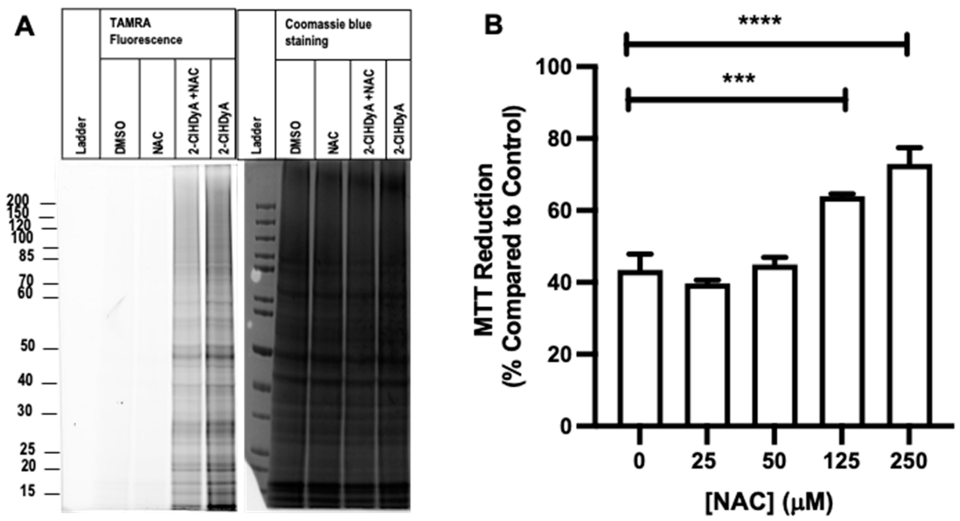 Antioxidants 12 00504 g005