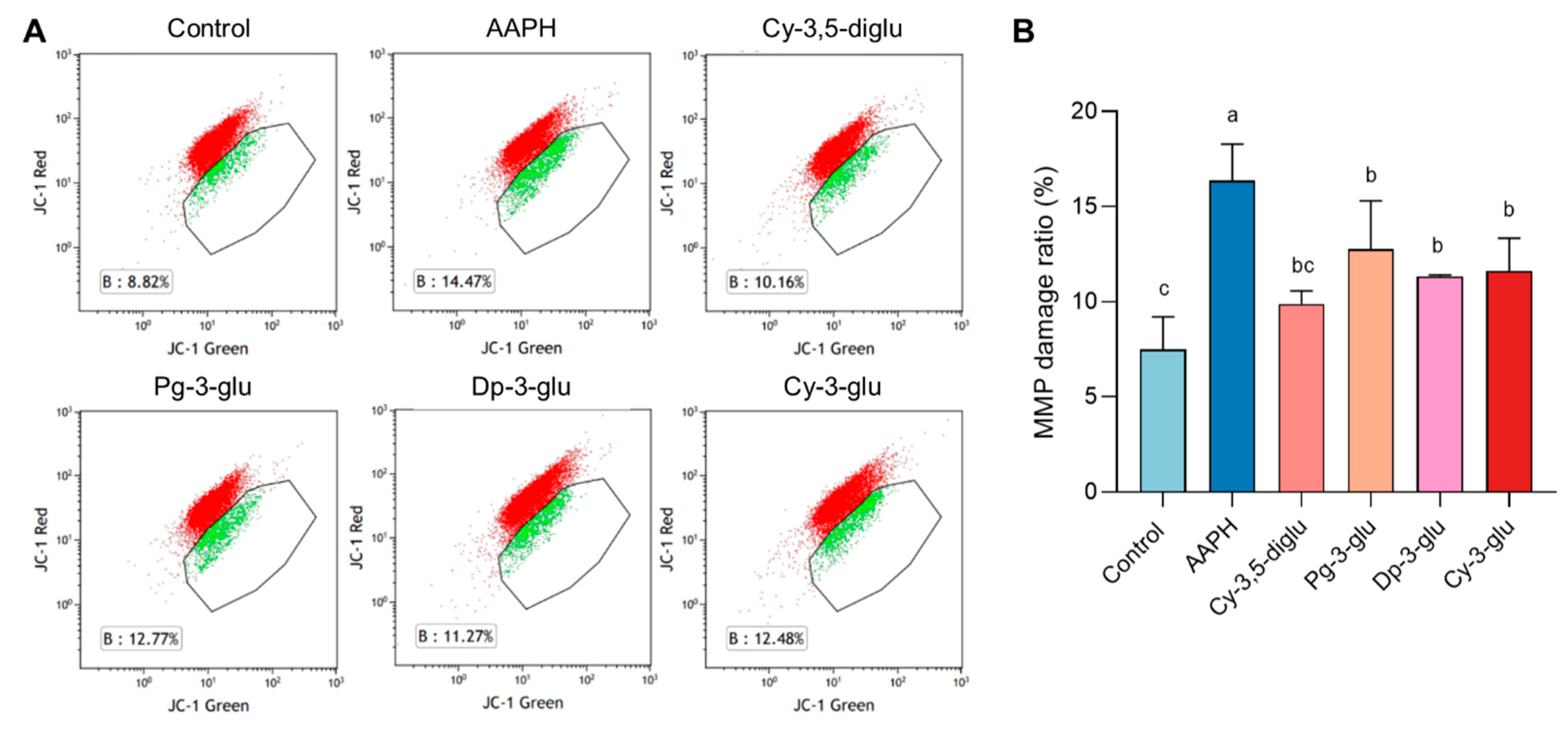Antioxidants 12 00508 g005