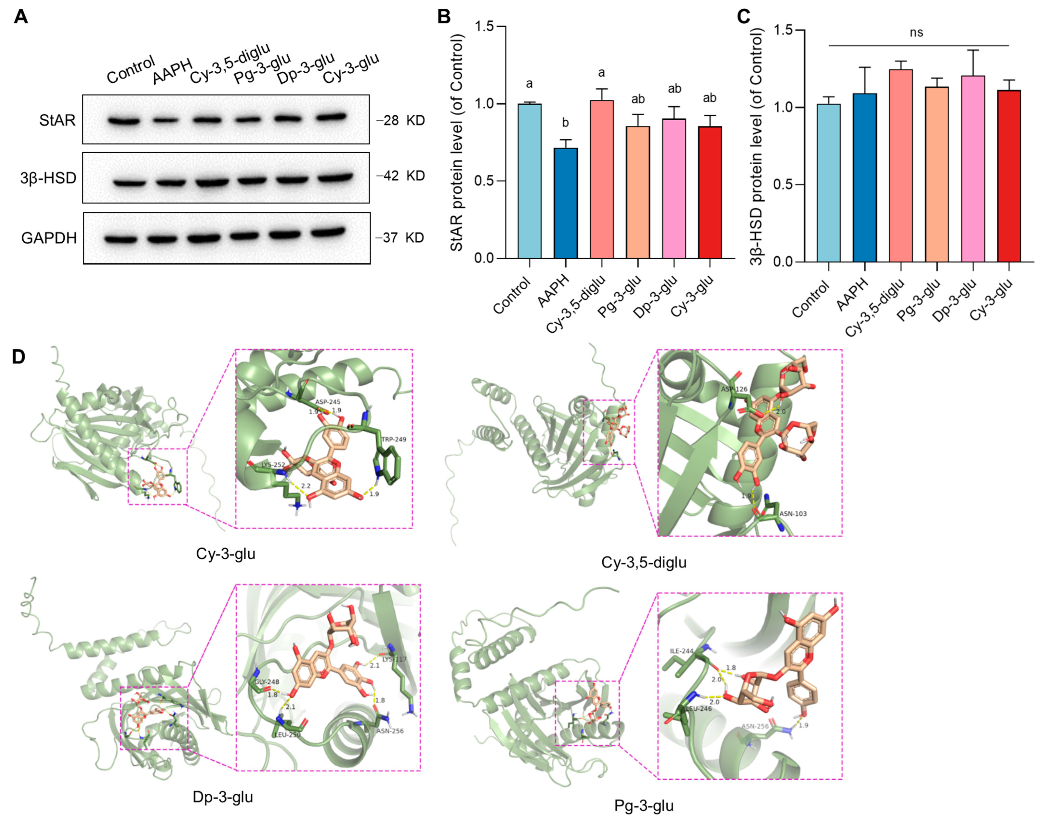 Antioxidants 12 00508 g006
