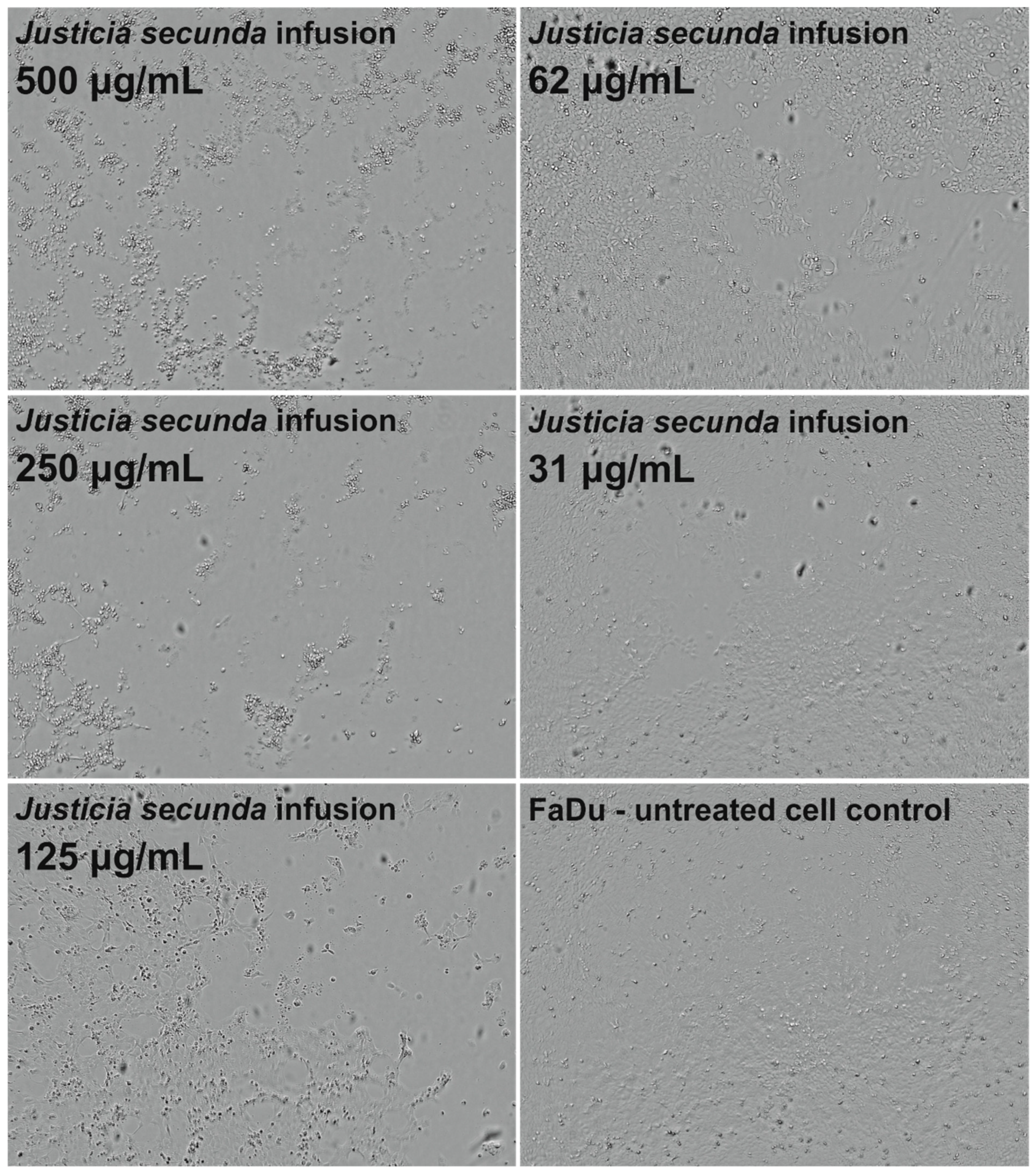 Antioxidants 12 00509 g003