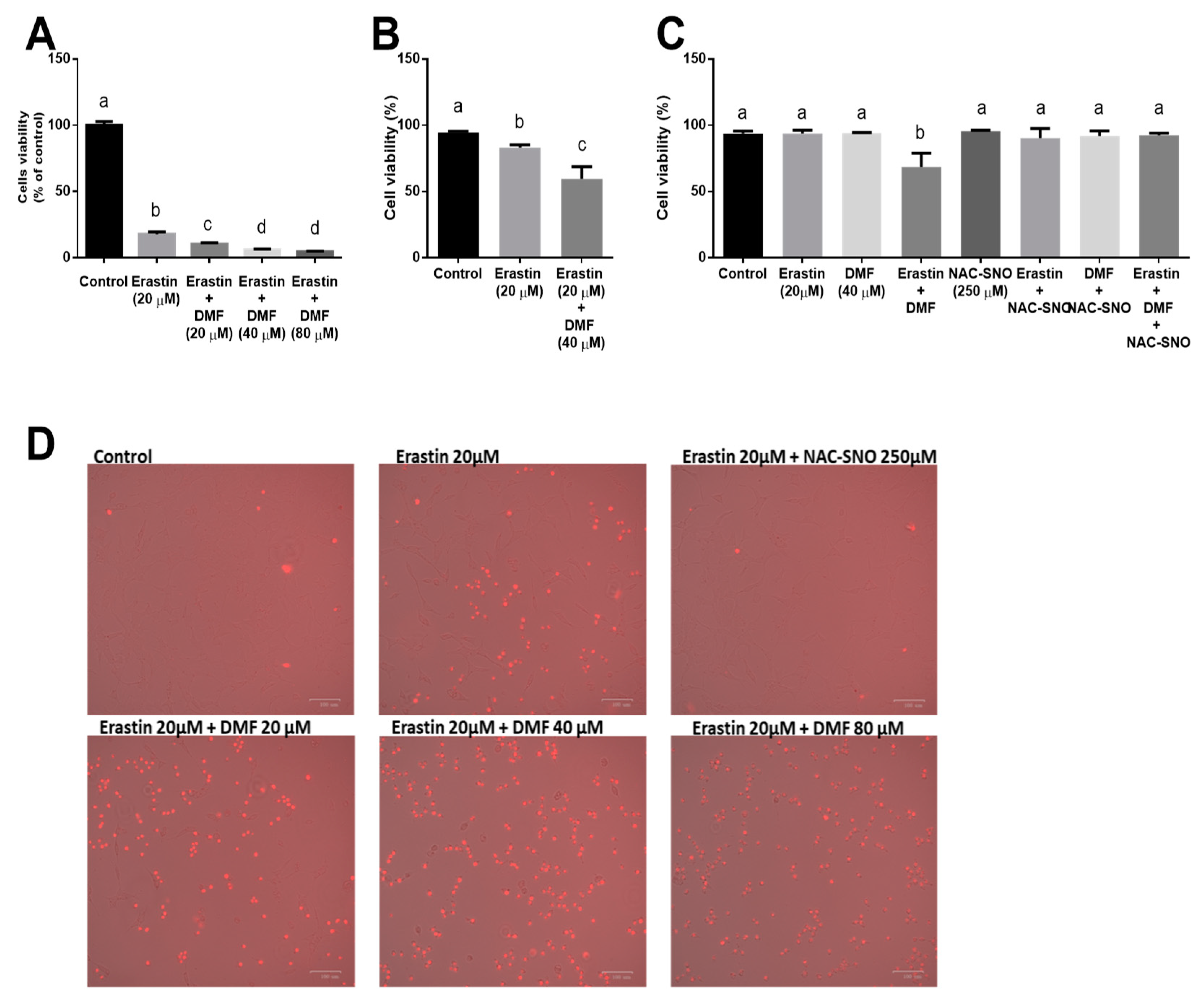 Antioxidants 12 00512 g001 Antioxidants 12 00512 g001