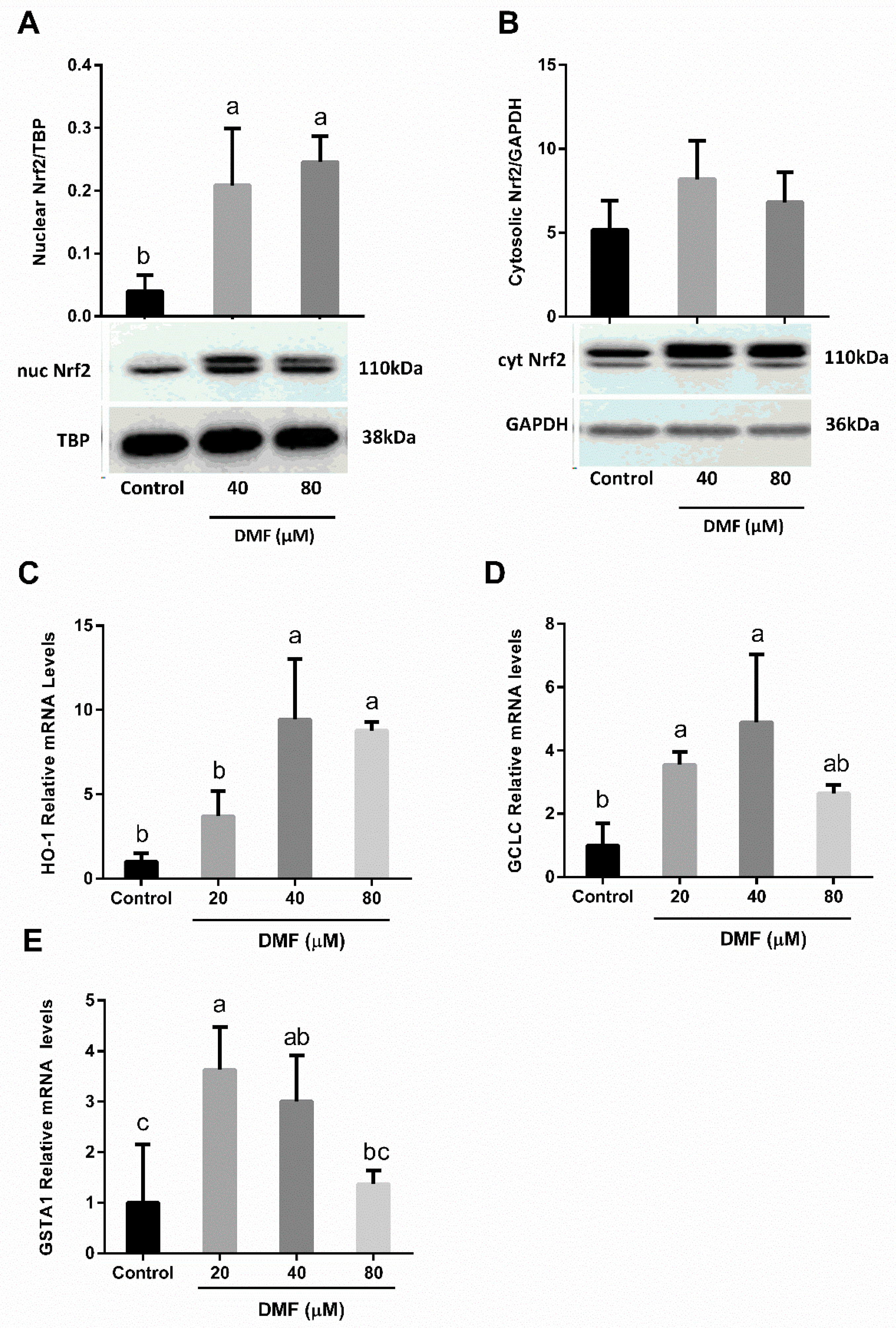 Antioxidants 12 00512 g005 Antioxidants 12 00512 g005