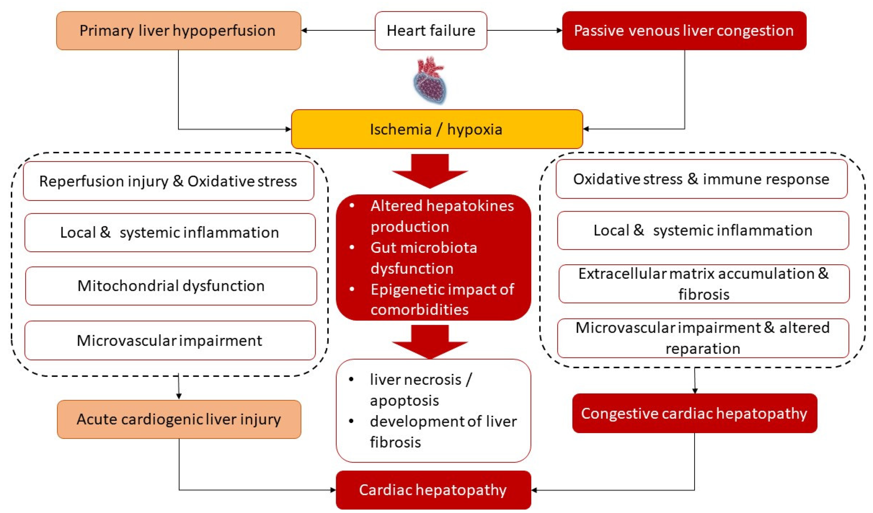 Antioxidants 12 00516 g001