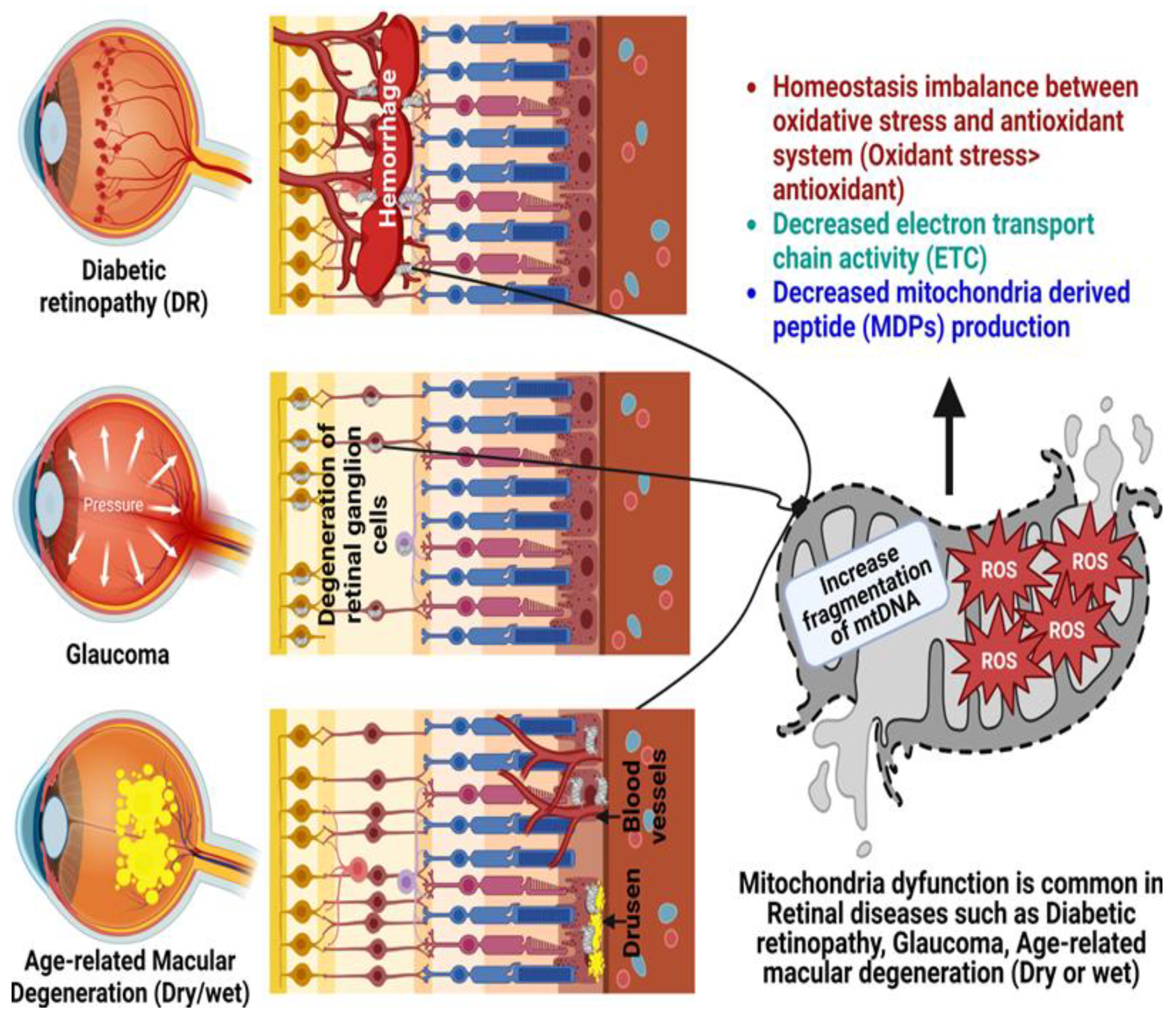 Antioxidants 12 00518 g003