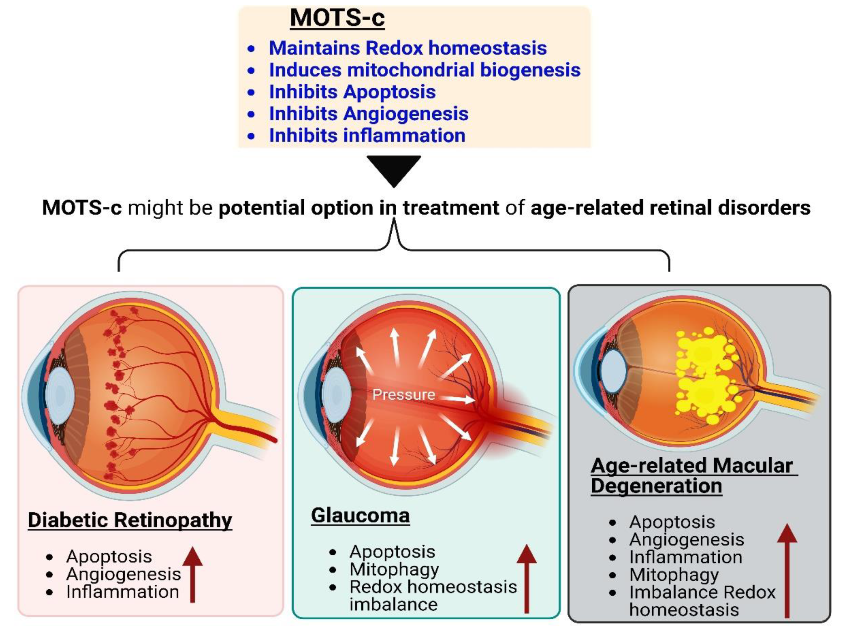 Antioxidants 12 00518 g004