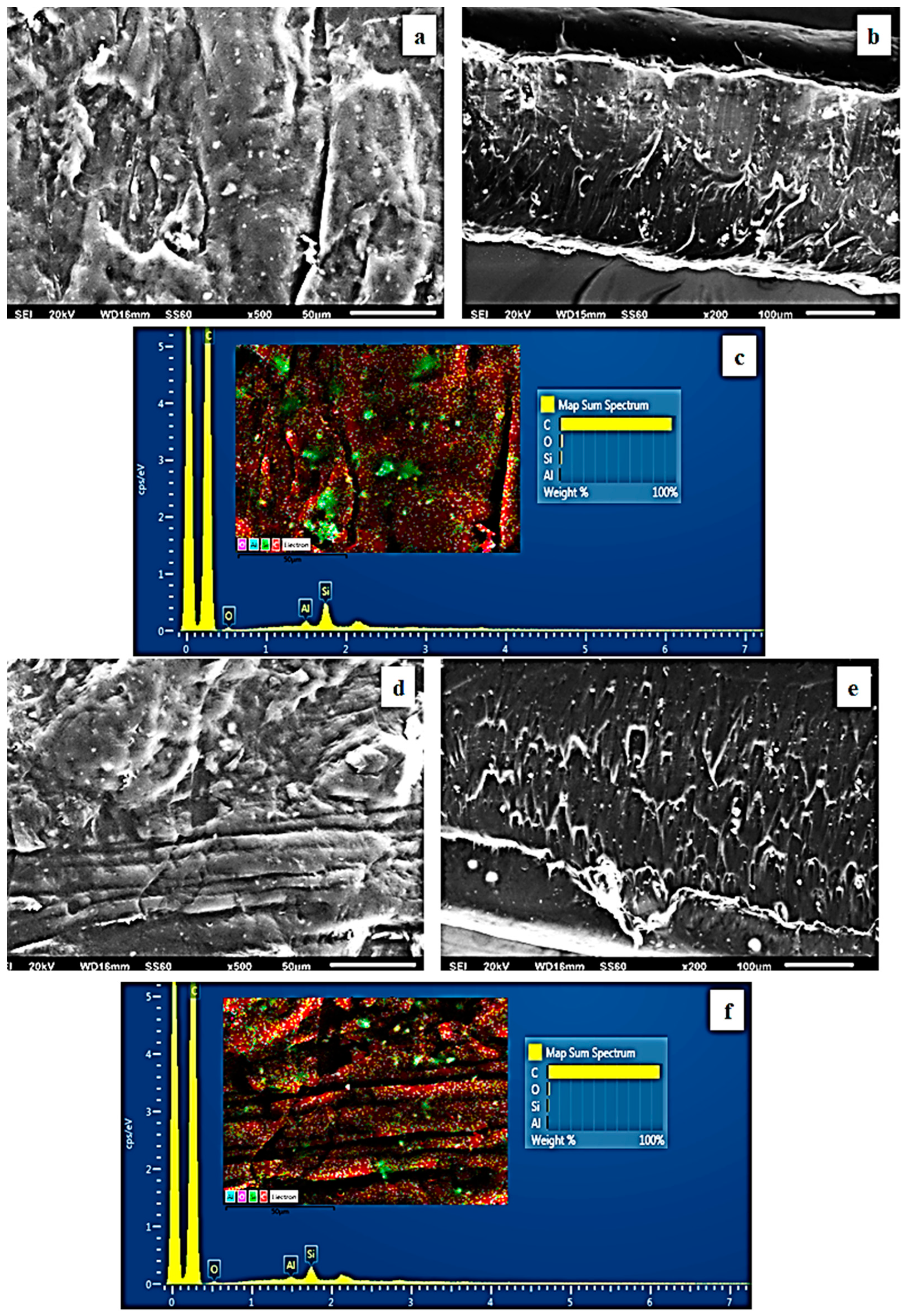 Antioxidants 12 00523 g005