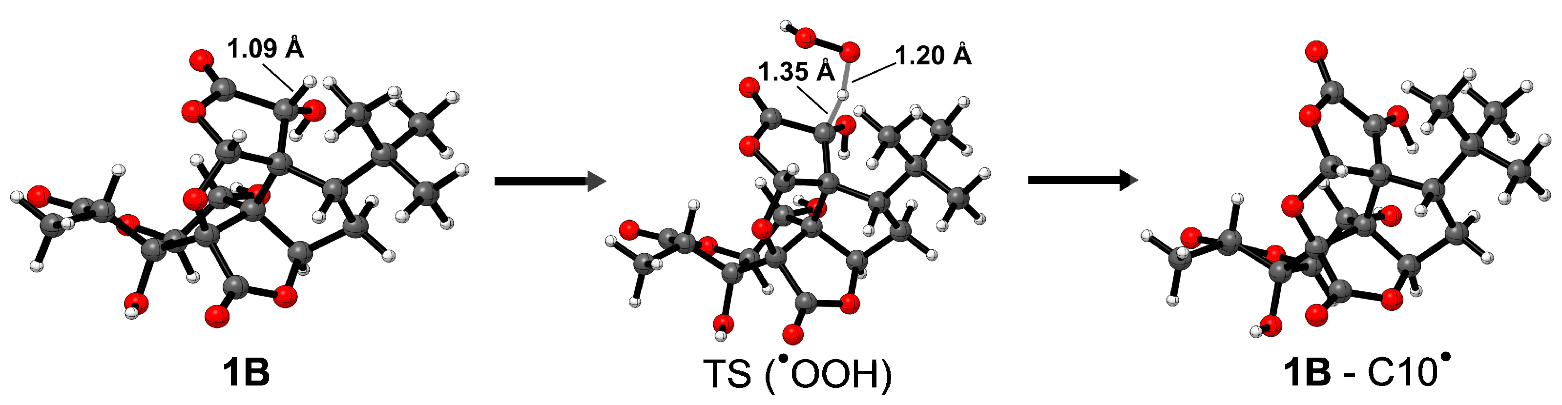 Antioxidants 12 00525 g004