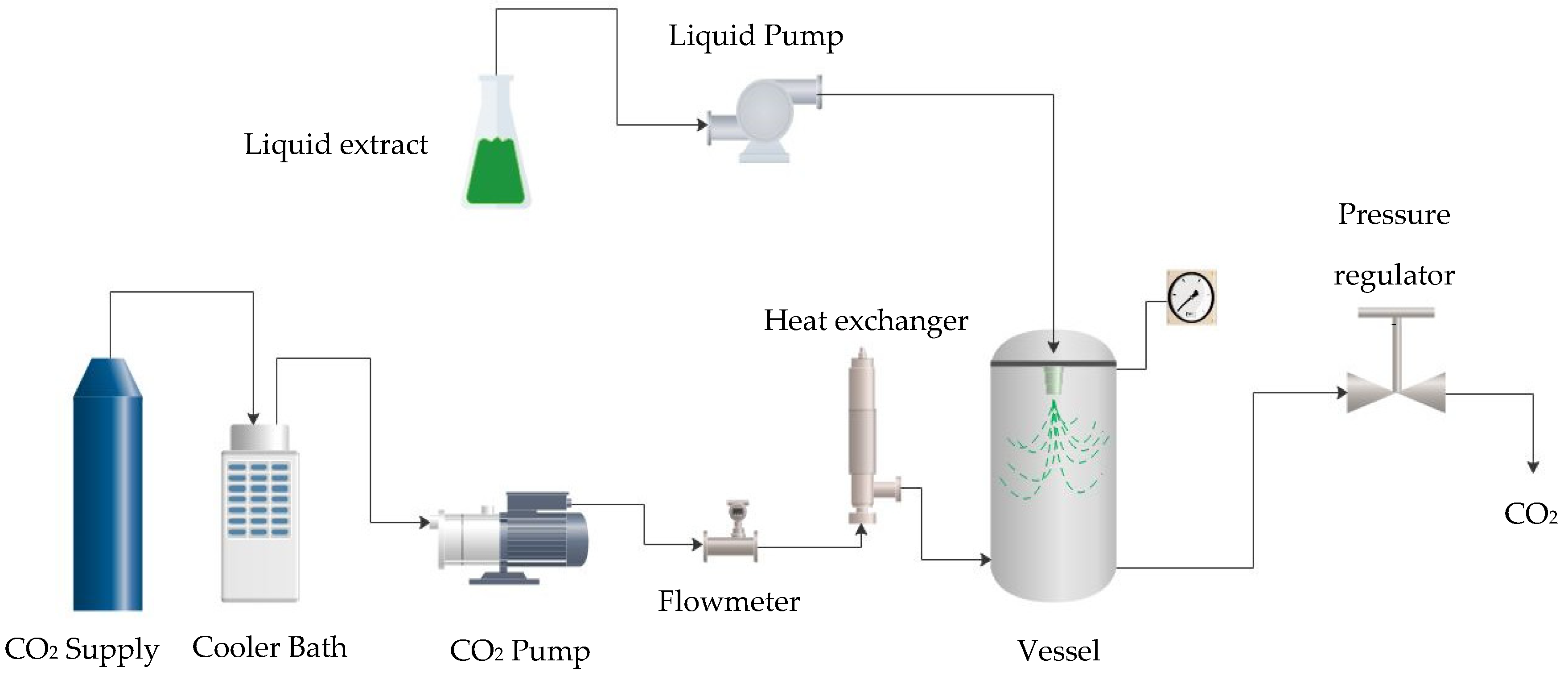 Antioxidants 12 00530 g001
