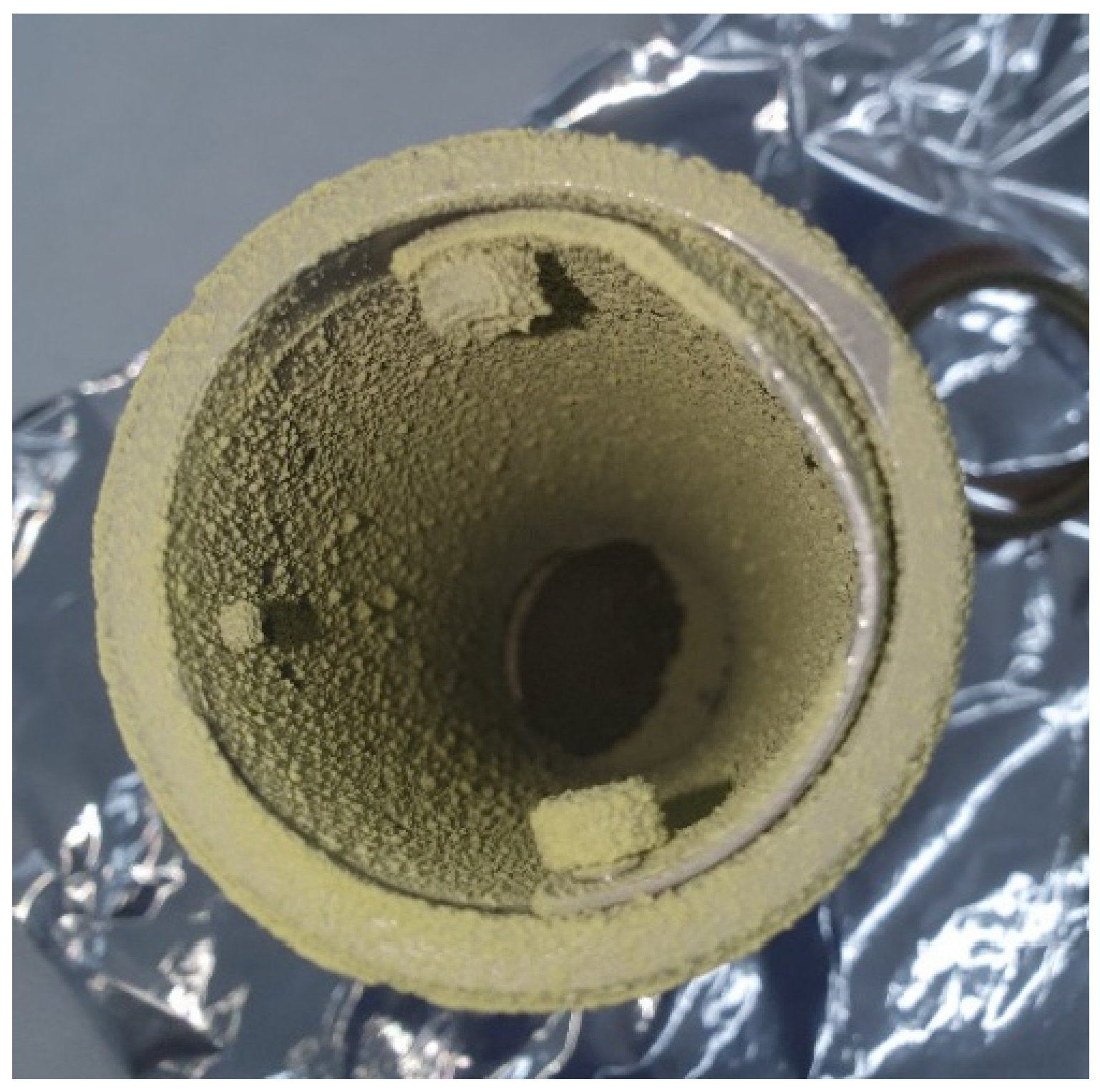 Antioxidants 12 00530 g003