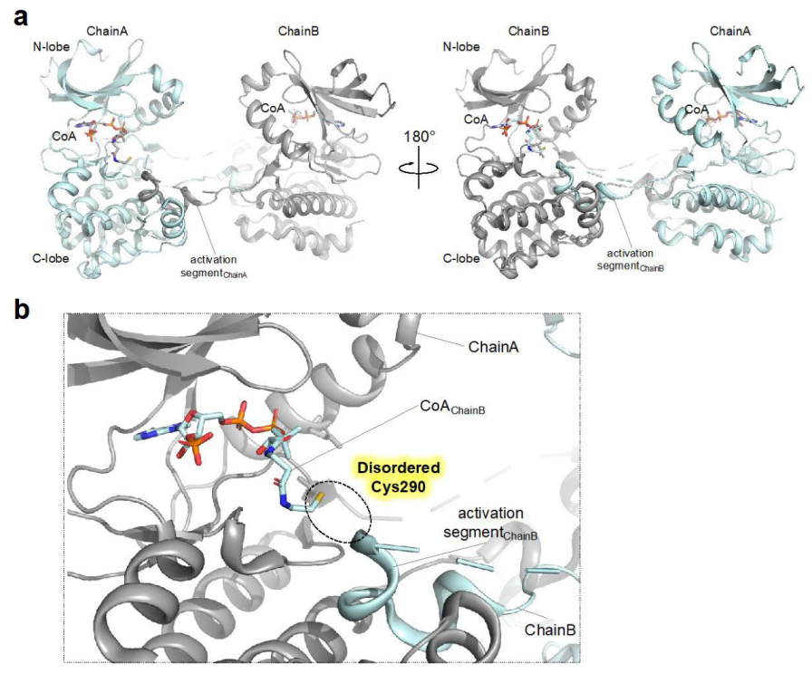 Antioxidants 12 00531 g003