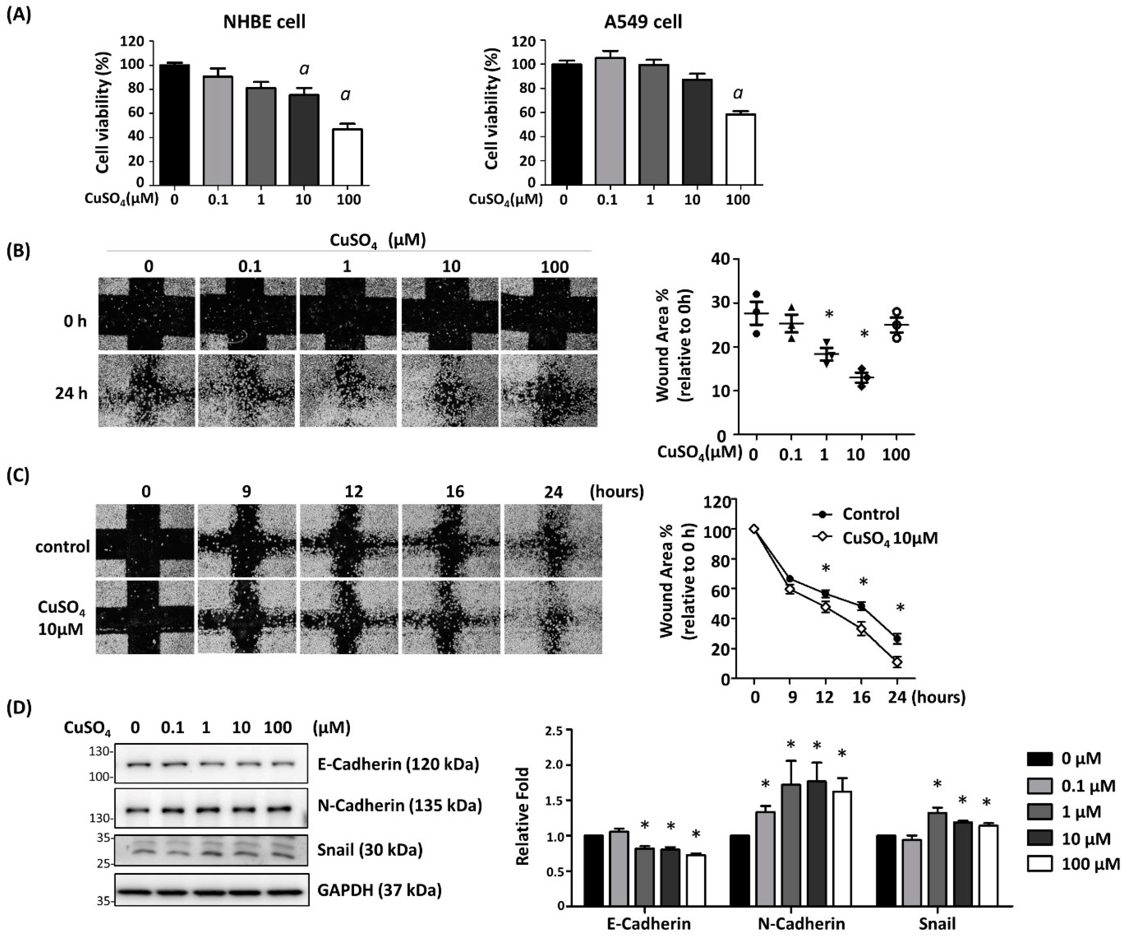 Antioxidants 12 00532 g001