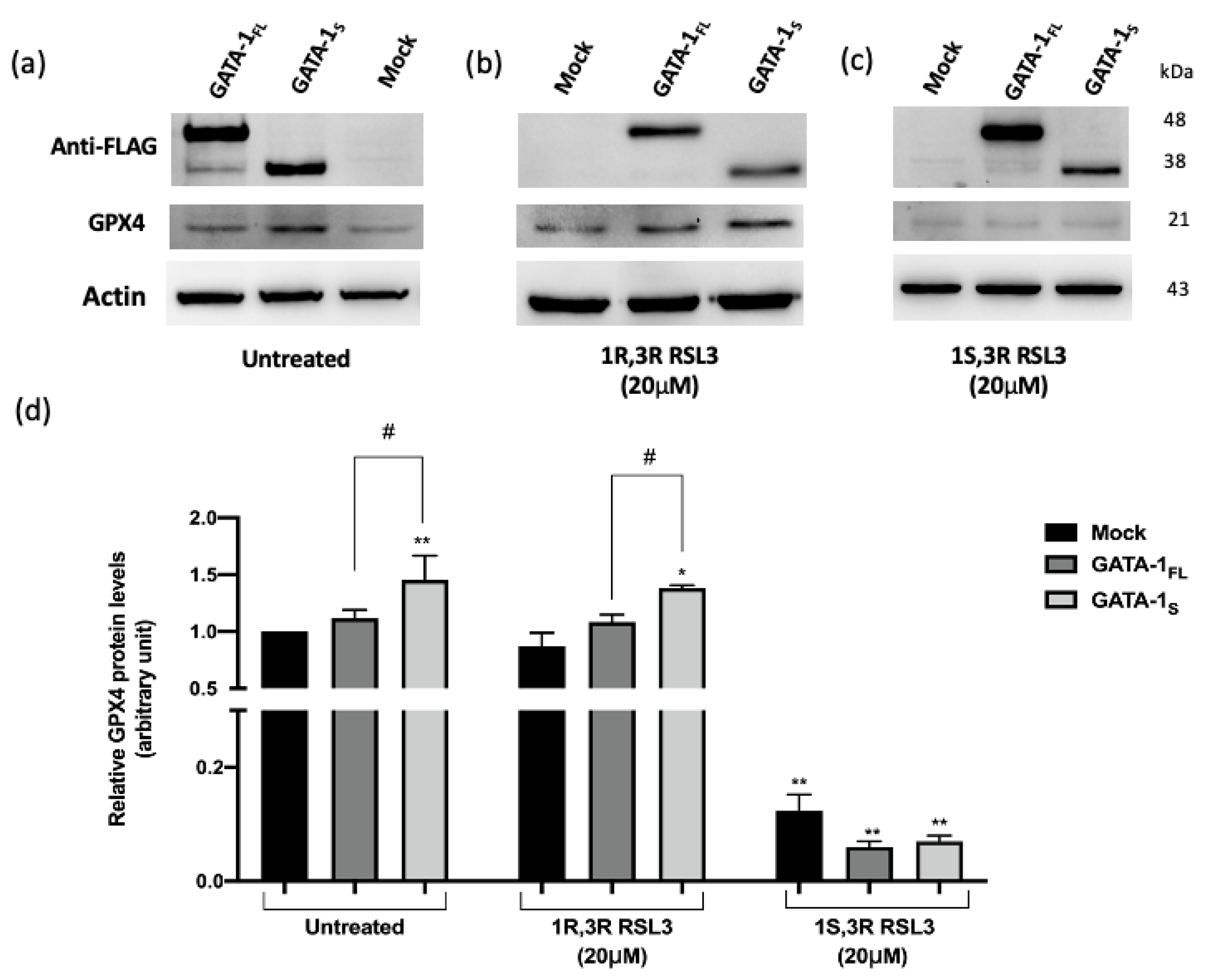 Antioxidants 12 00537 g008a