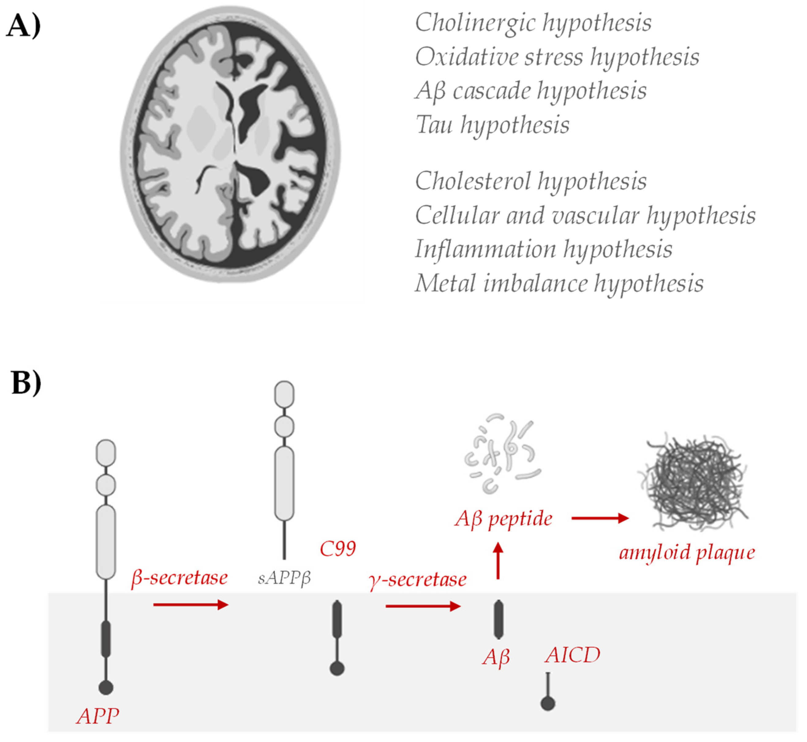 Antioxidants 12 00539 g004 Antioxidants 12 00539 g004