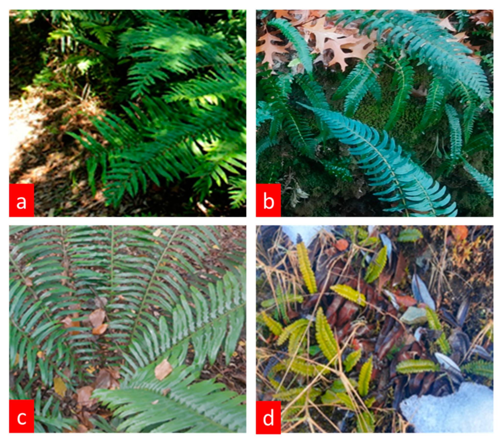 Antioxidants 12 00540 g001