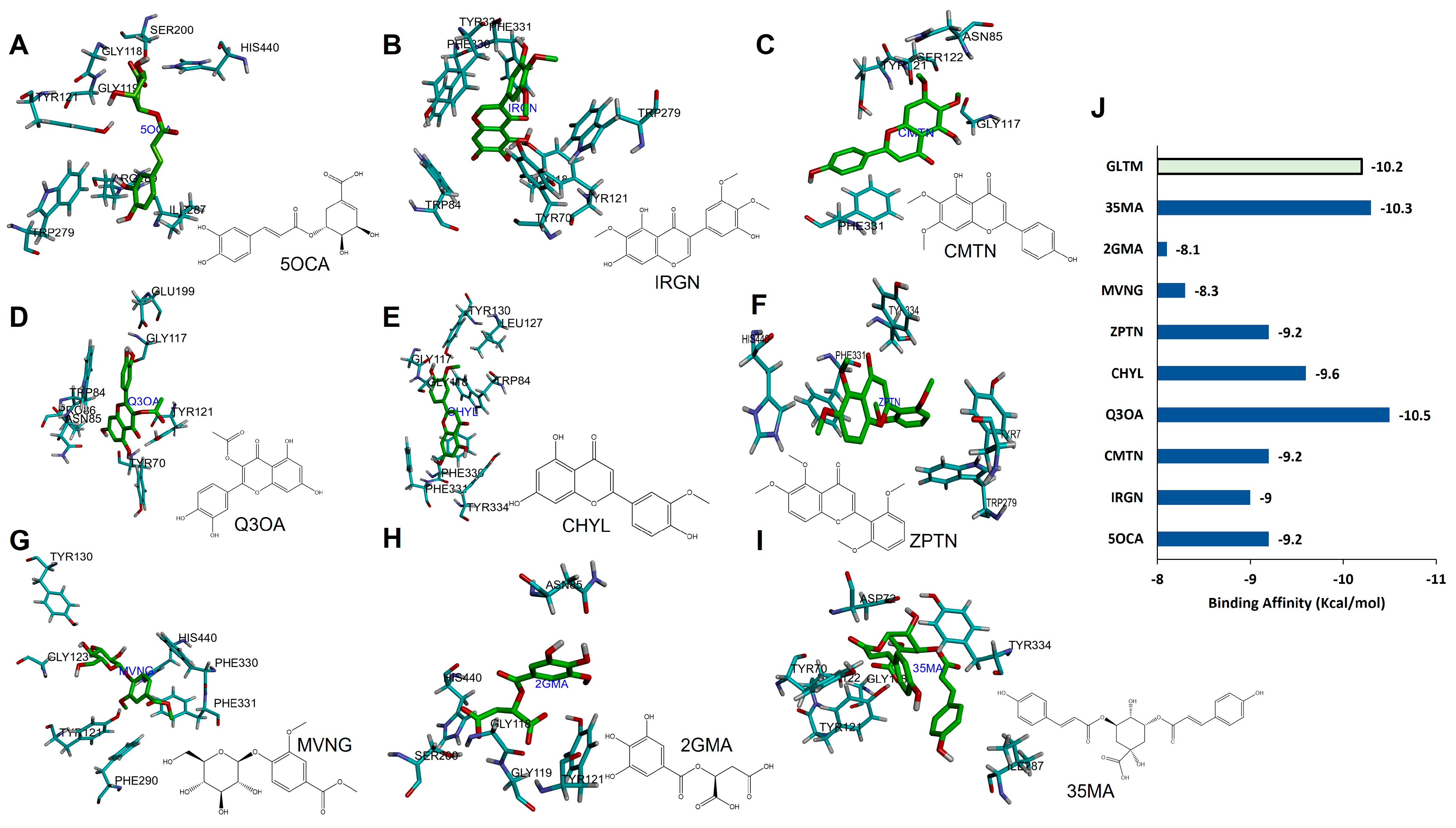 Antioxidants 12 00540 g006