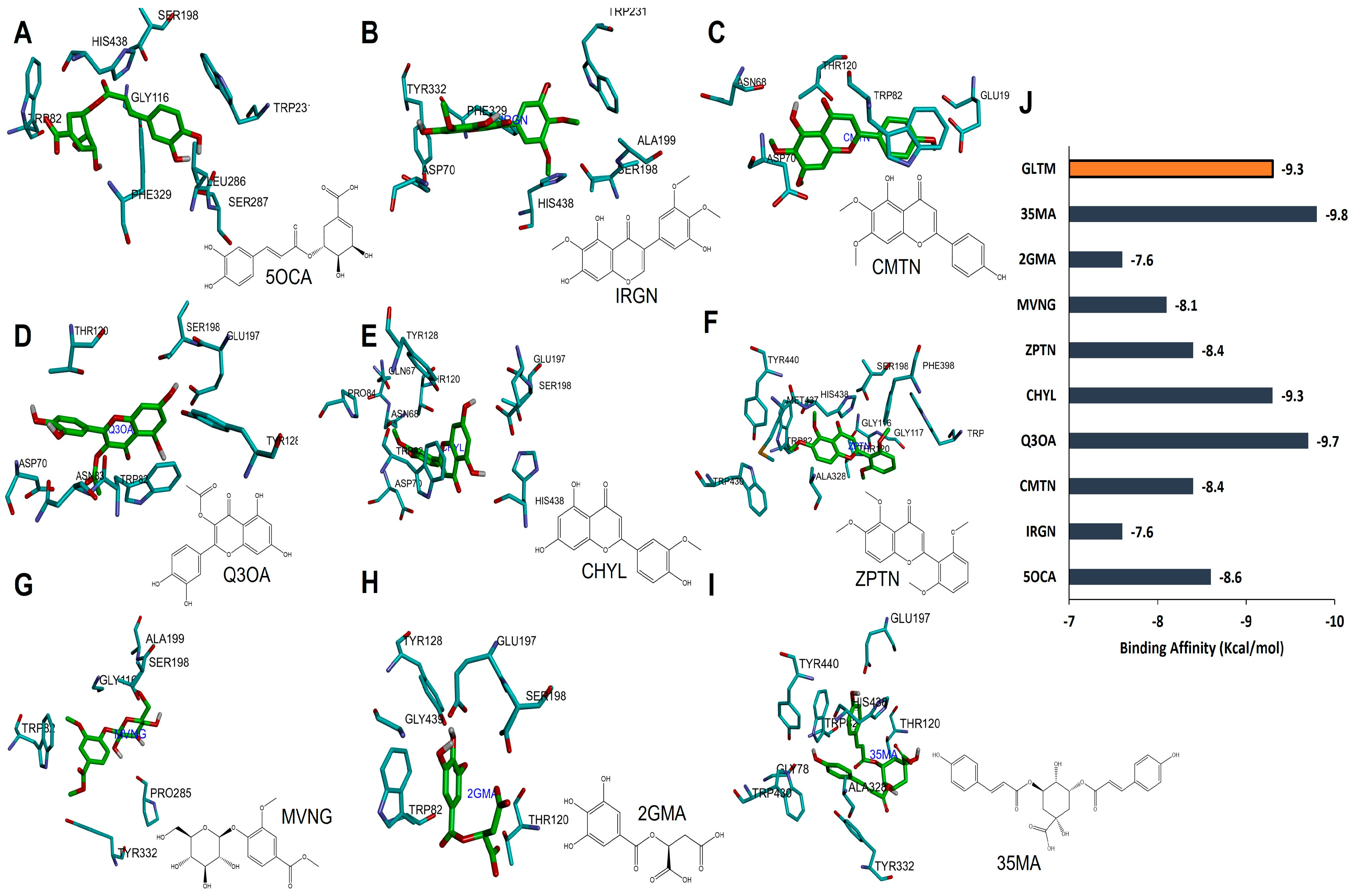 Antioxidants 12 00540 g008