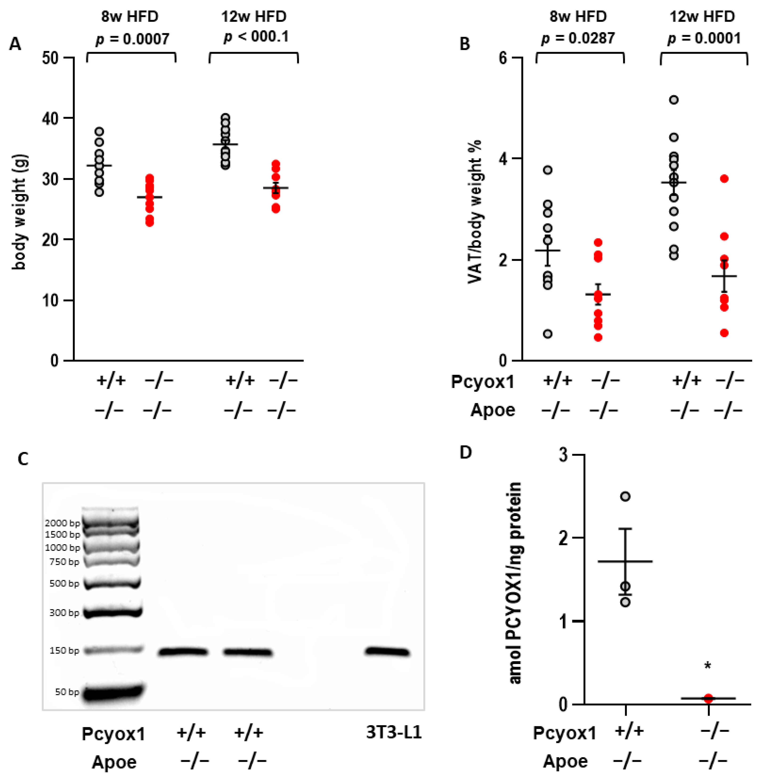 Antioxidants 12 00542 g001 Antioxidants 12 00542 g001