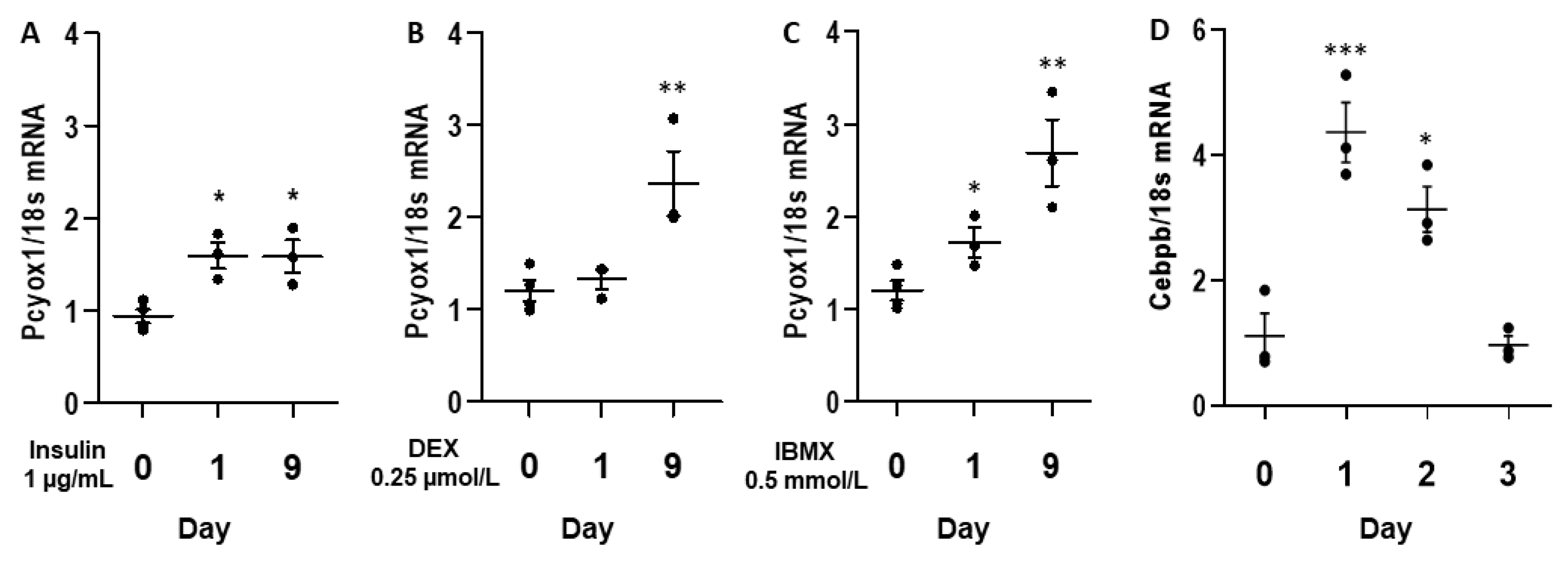 Antioxidants 12 00542 g003 Antioxidants 12 00542 g003