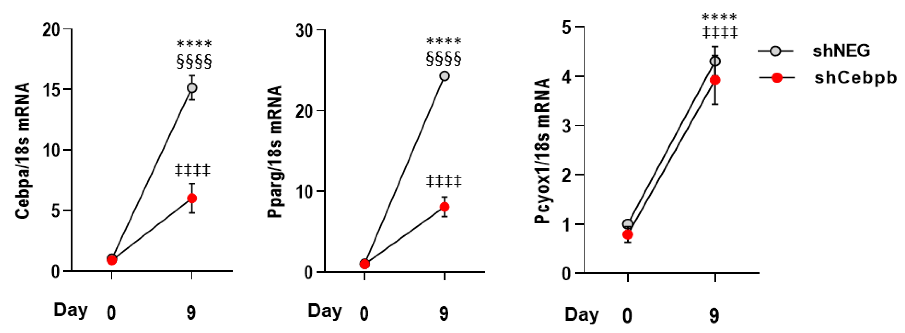 Antioxidants 12 00542 g005 Antioxidants 12 00542 g005