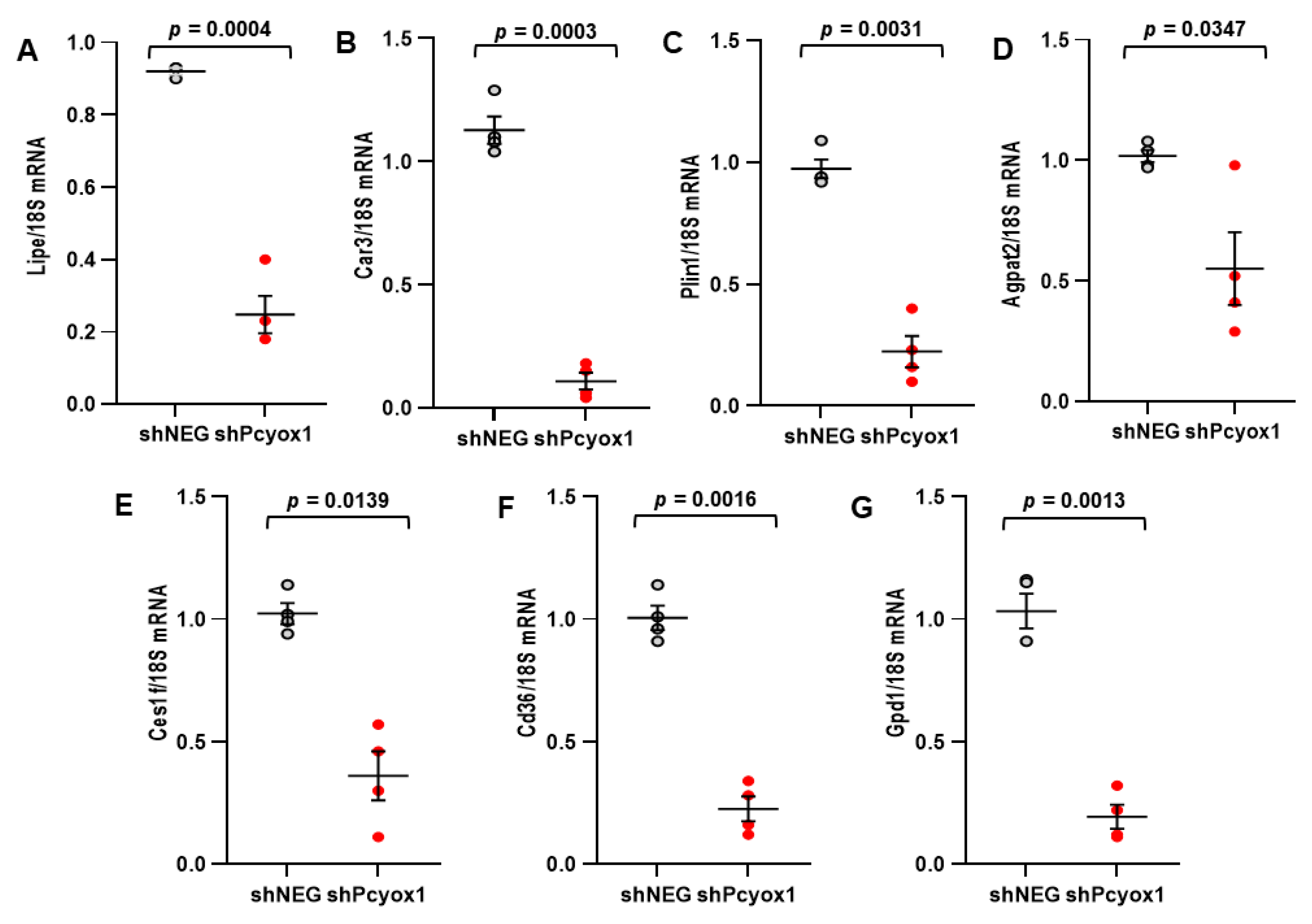Antioxidants 12 00542 g007 Antioxidants 12 00542 g007