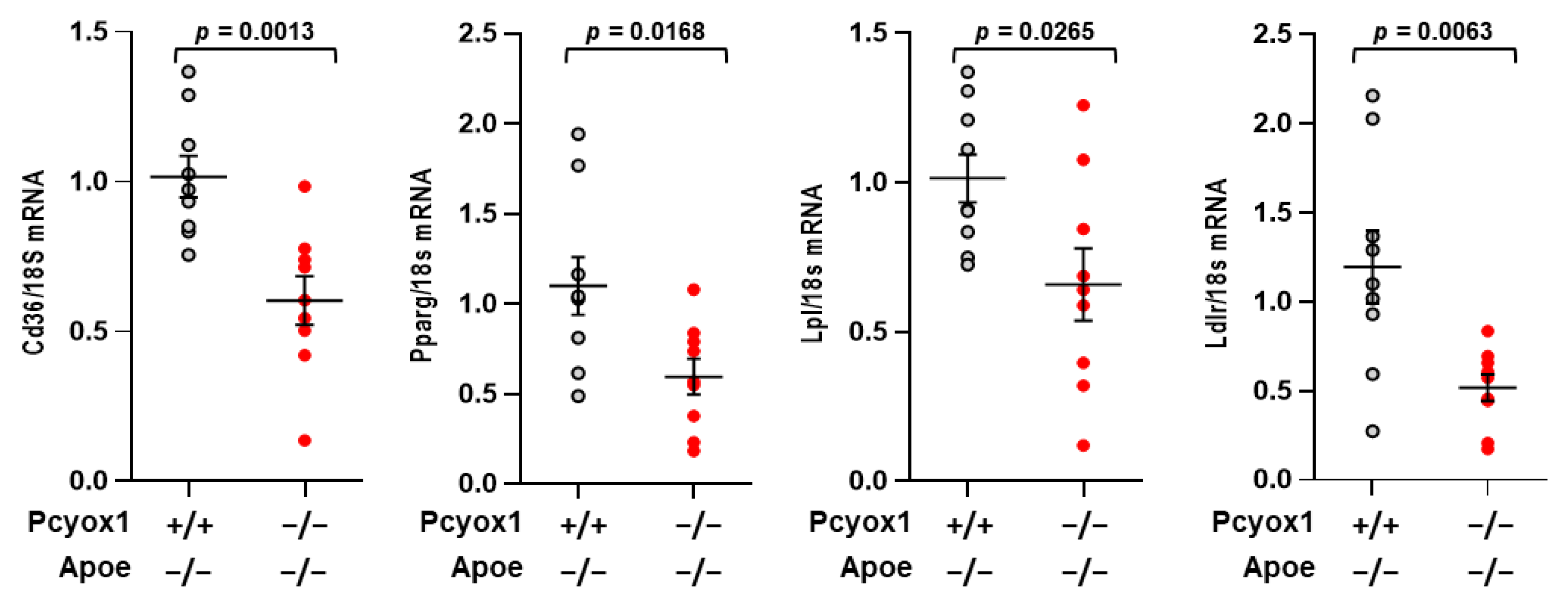 Antioxidants 12 00542 g008 Antioxidants 12 00542 g008
