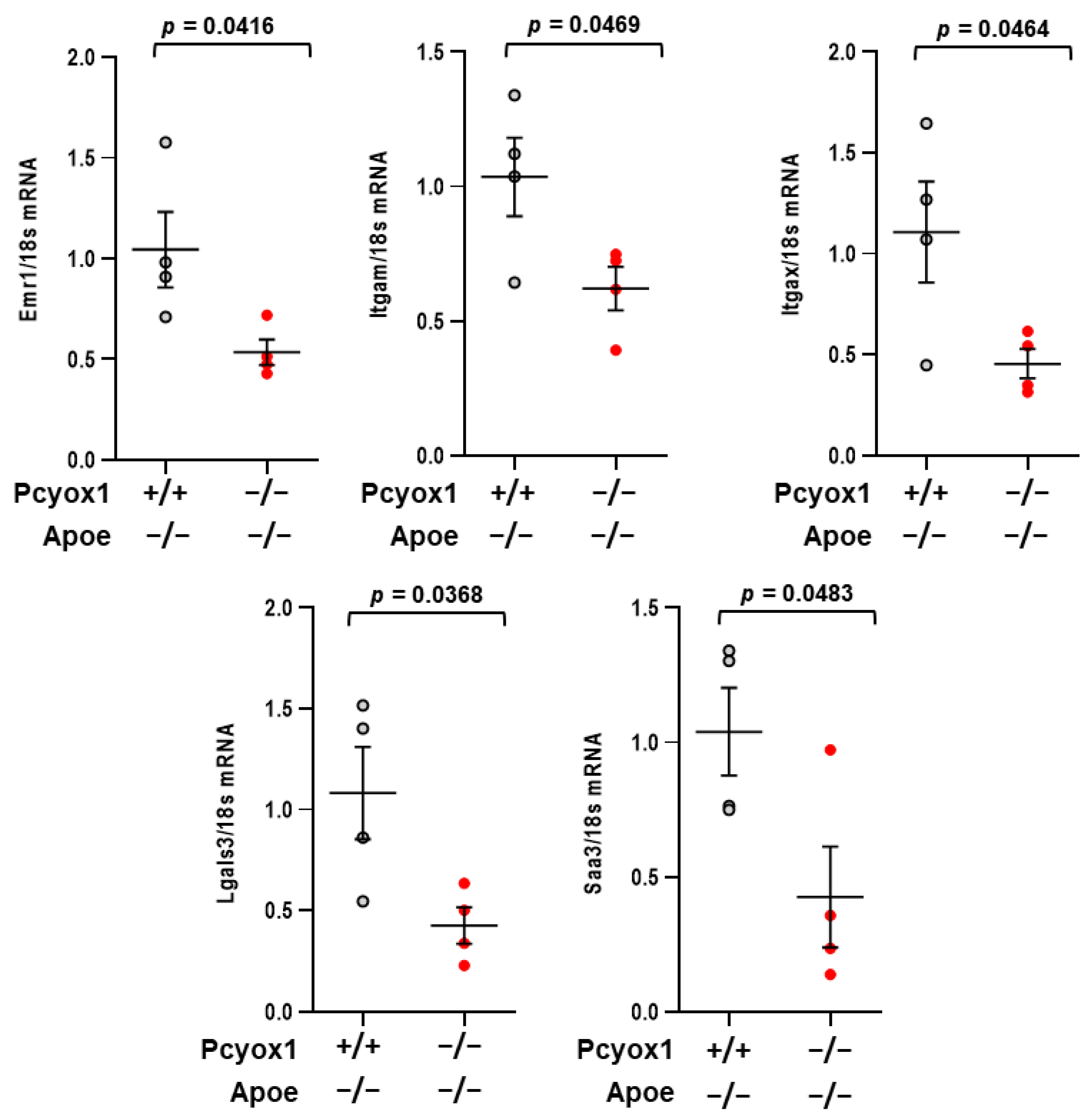 Antioxidants 12 00542 g009 Antioxidants 12 00542 g009