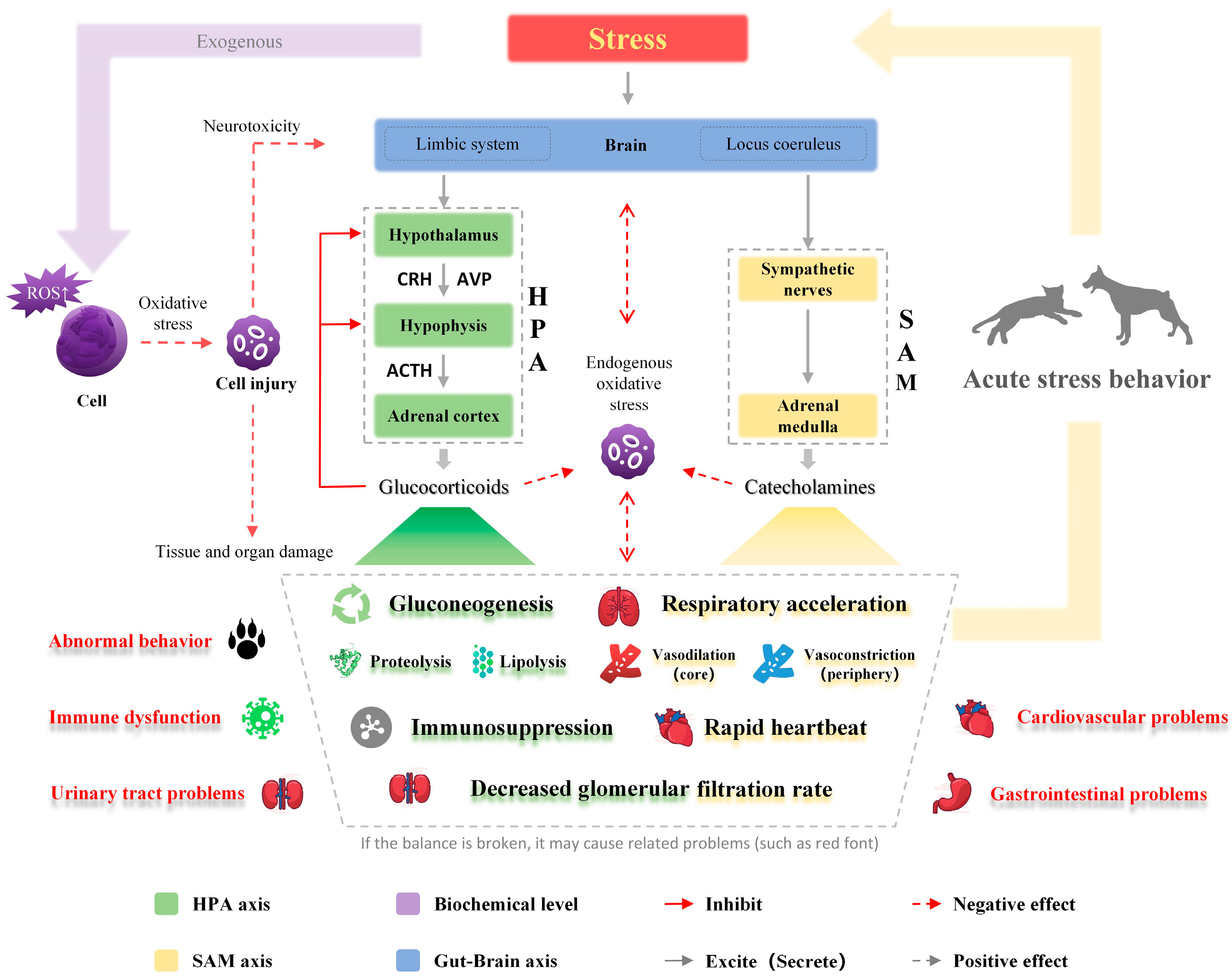 Antioxidants 12 00545 g001