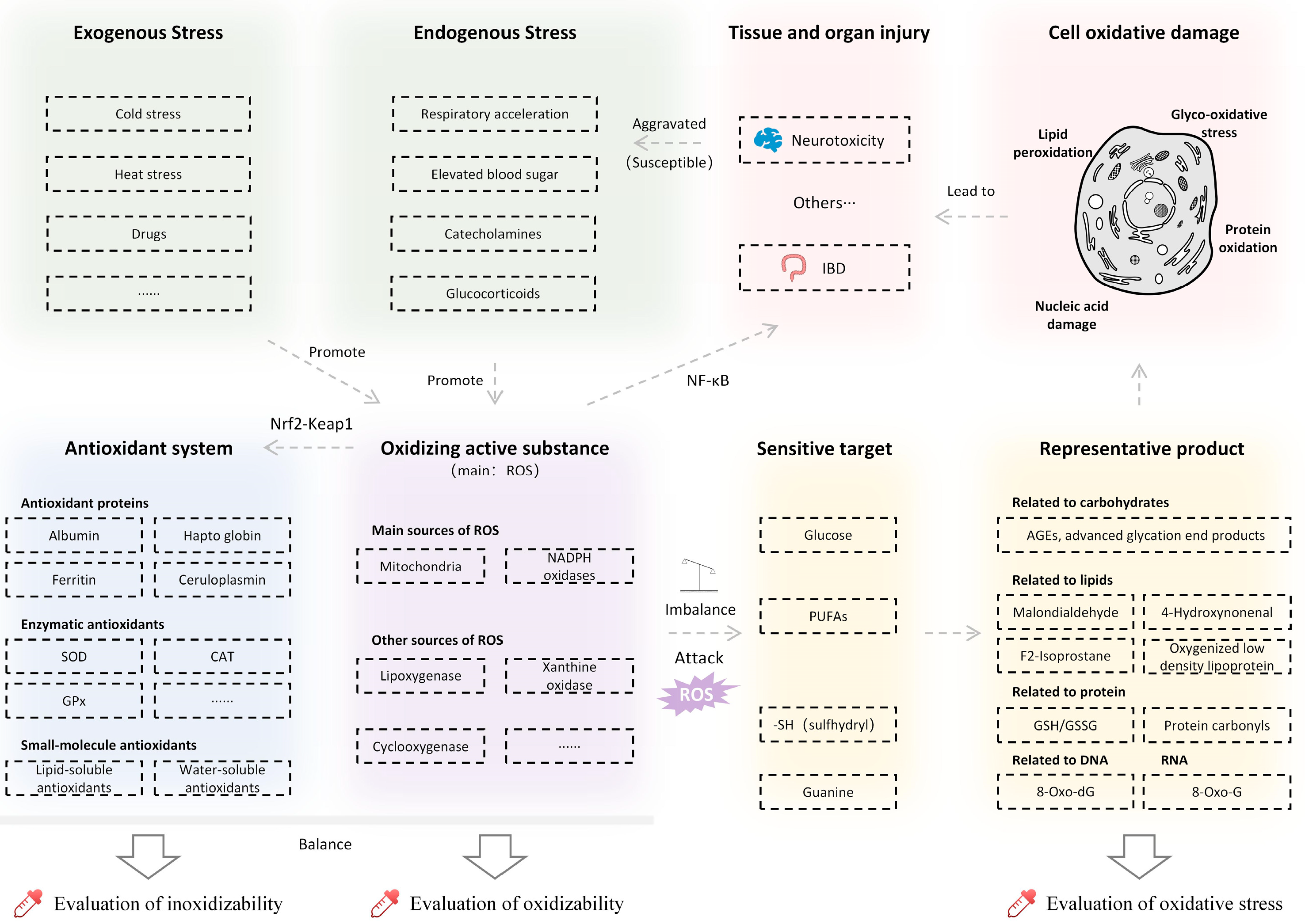 Antioxidants 12 00545 g002
