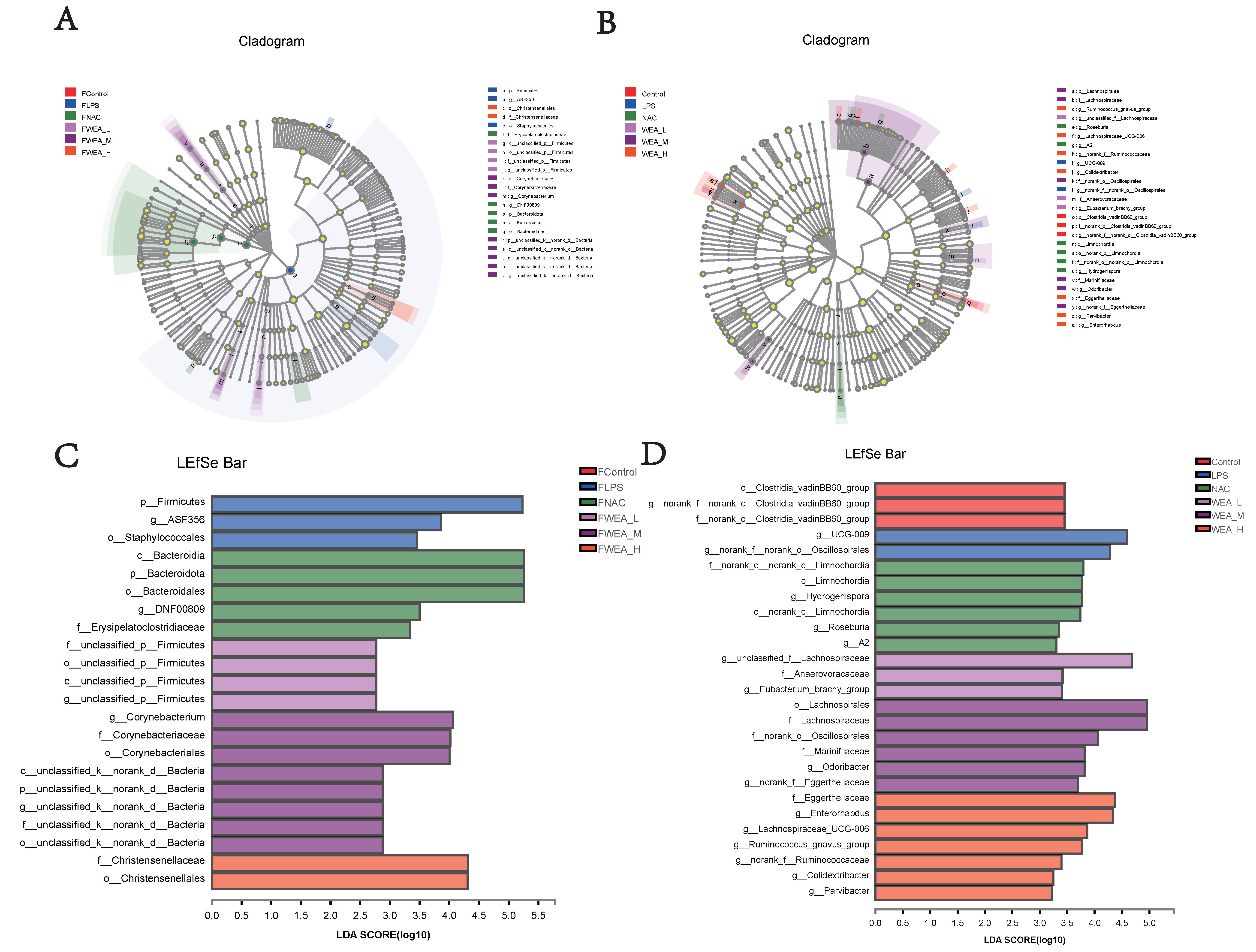 Antioxidants 12 00547 g009