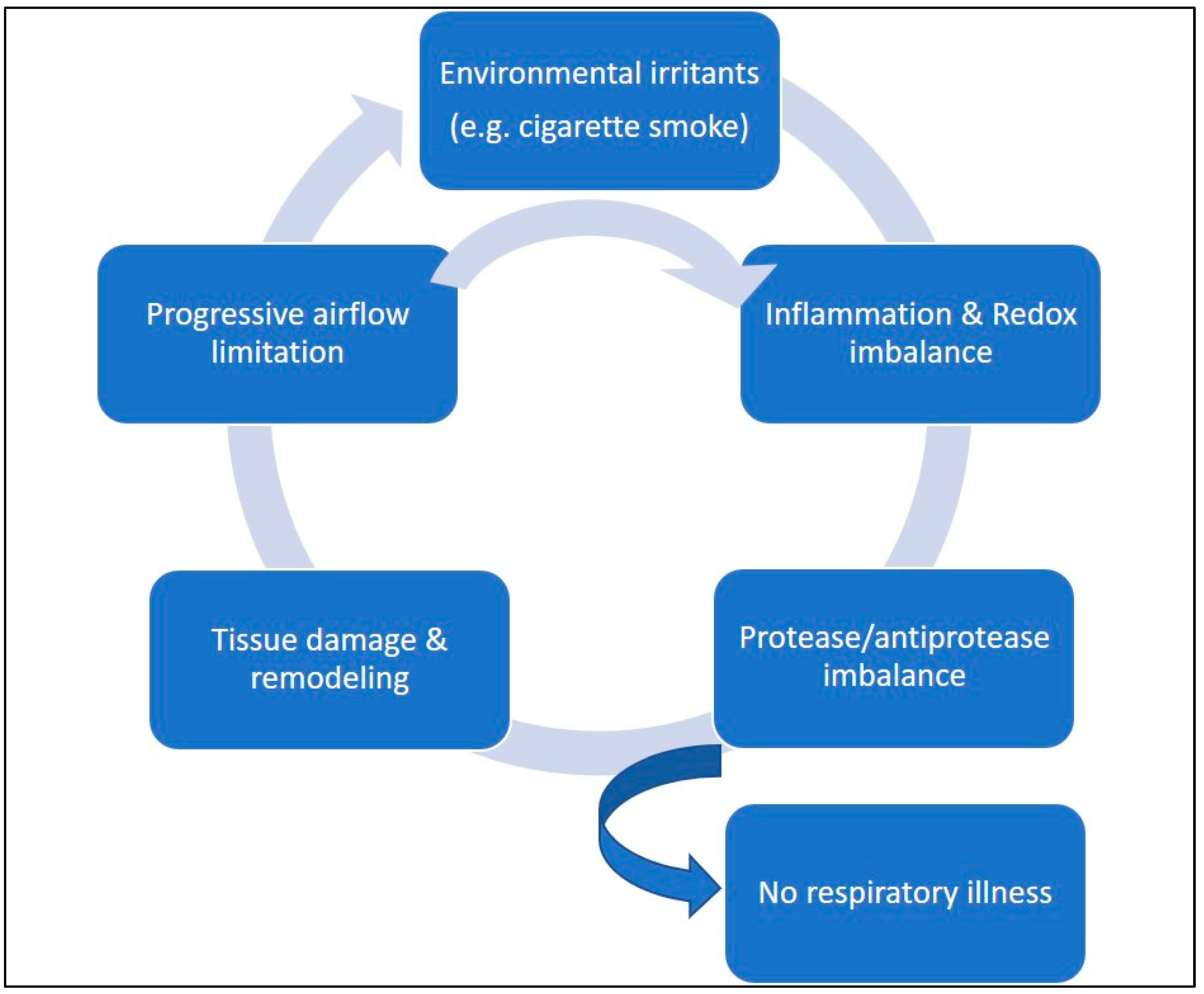 Antioxidants 12 00548 g002