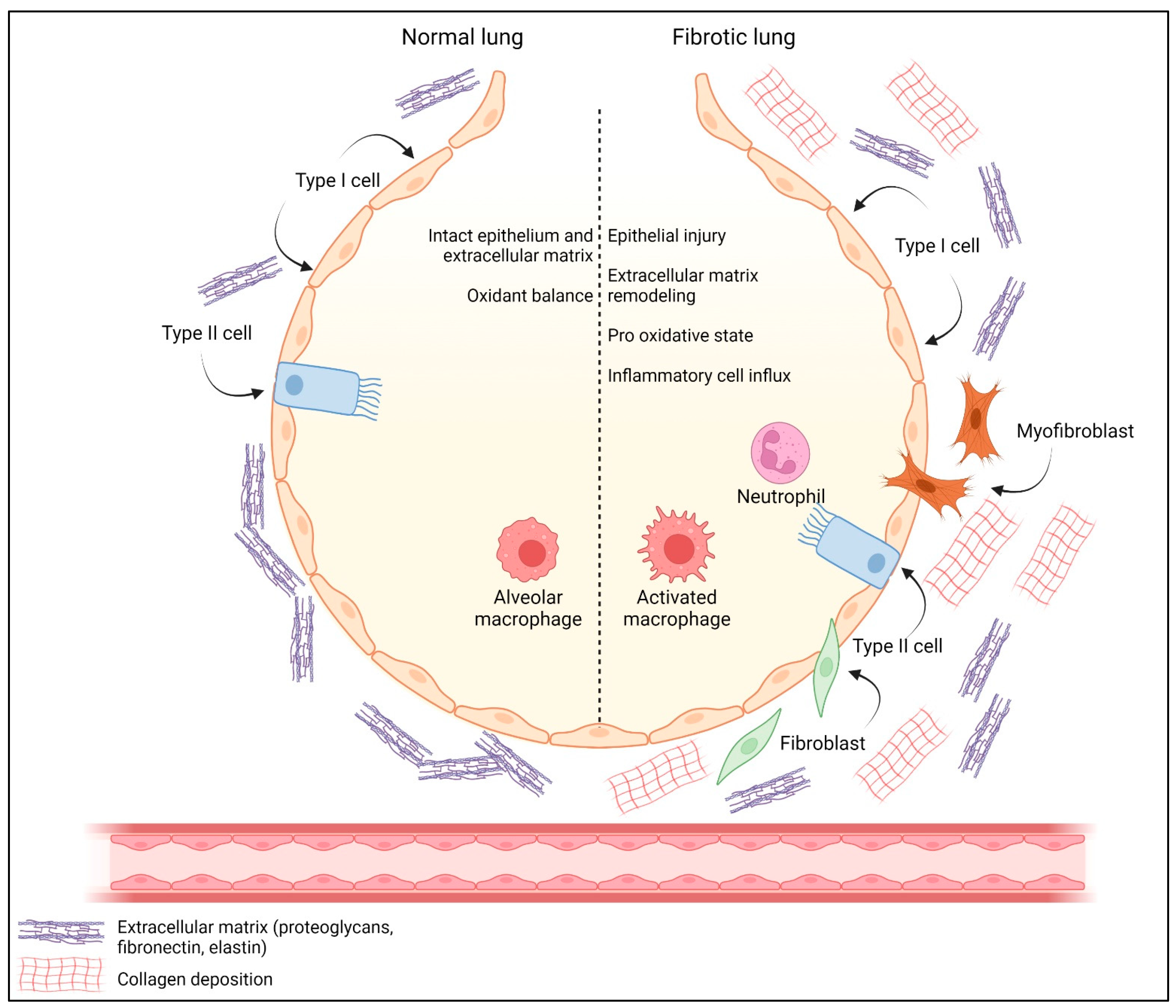 Antioxidants 12 00548 g004