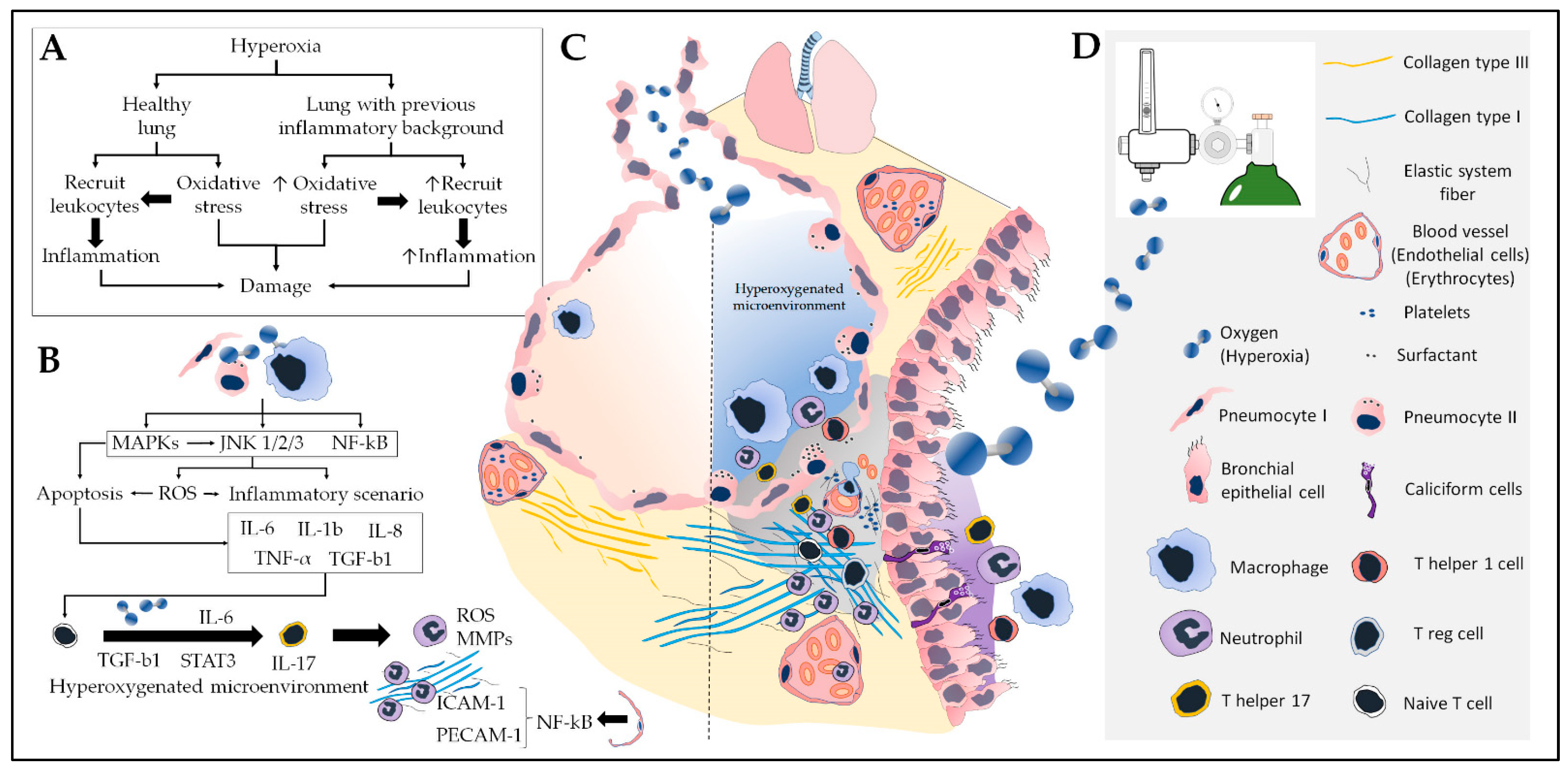 Antioxidants 12 00548 g005