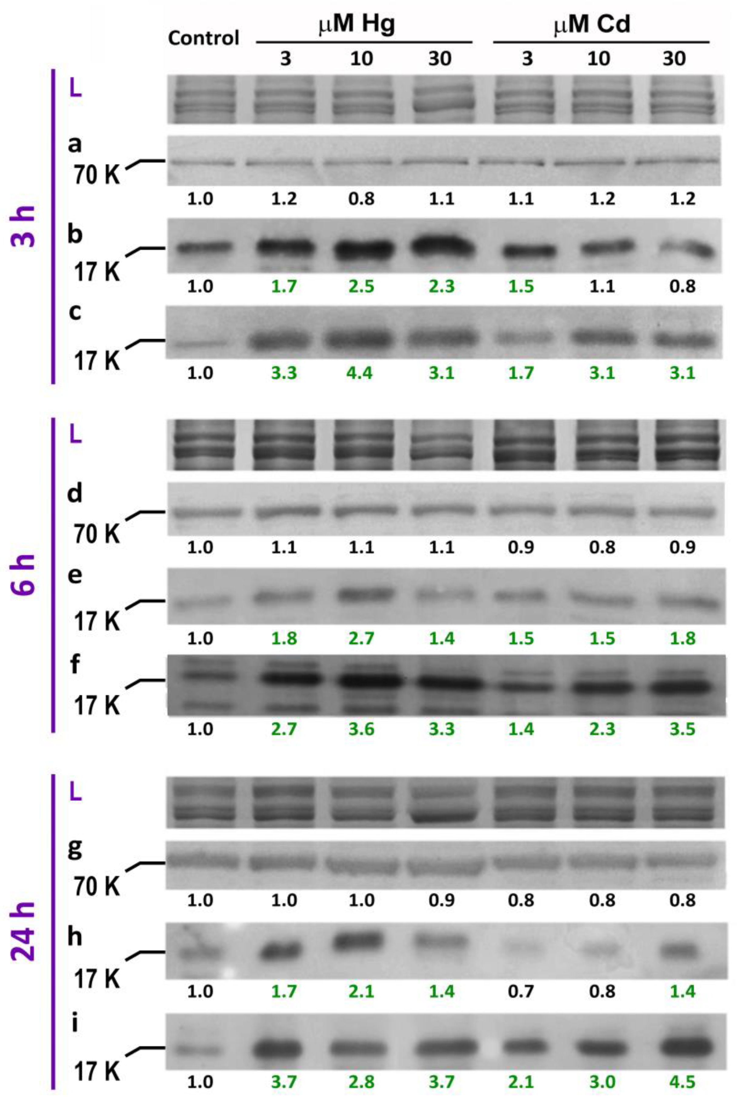 Antioxidants 12 00551 g002